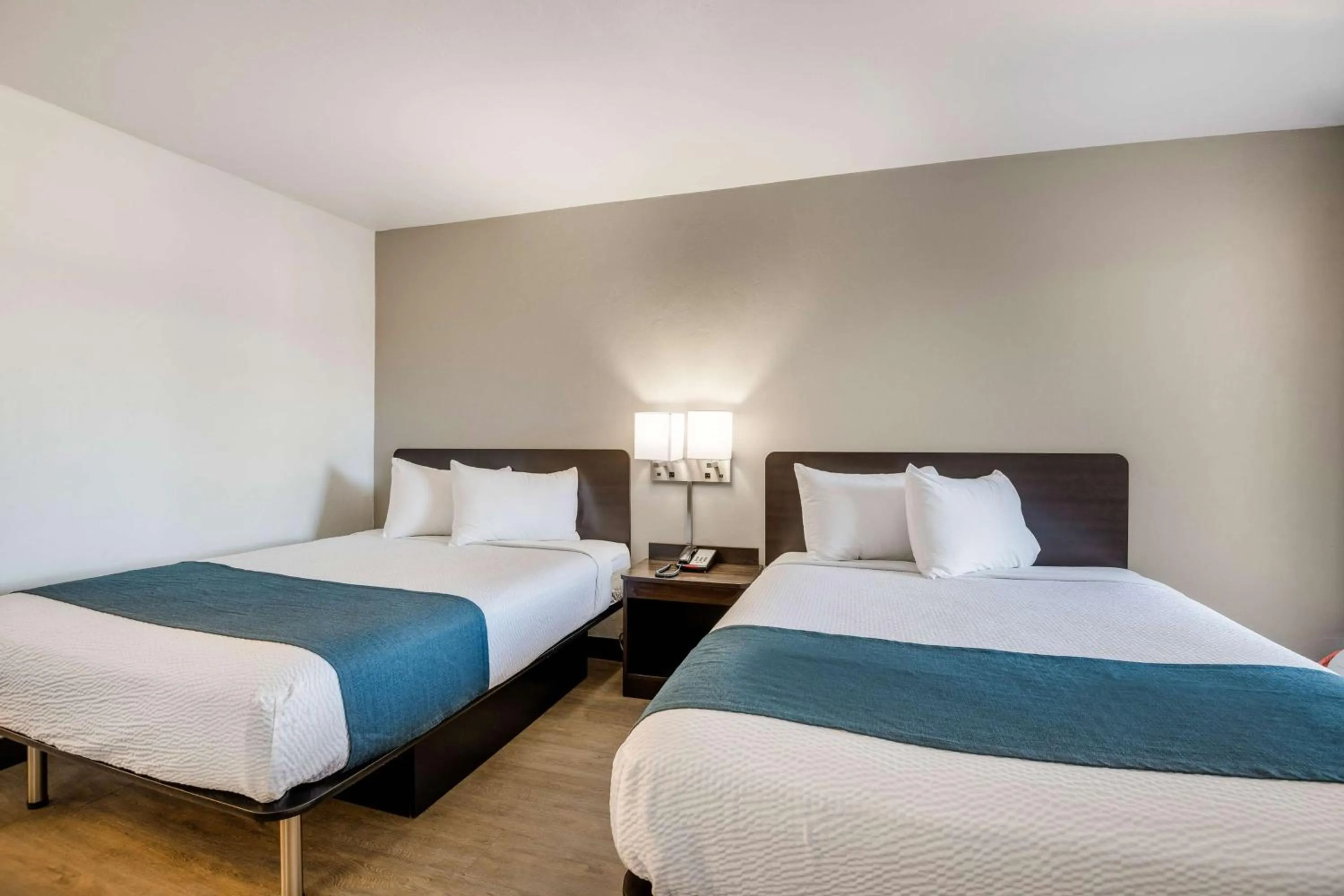 Bed in Motel 6-Tucson, AZ-Downtown