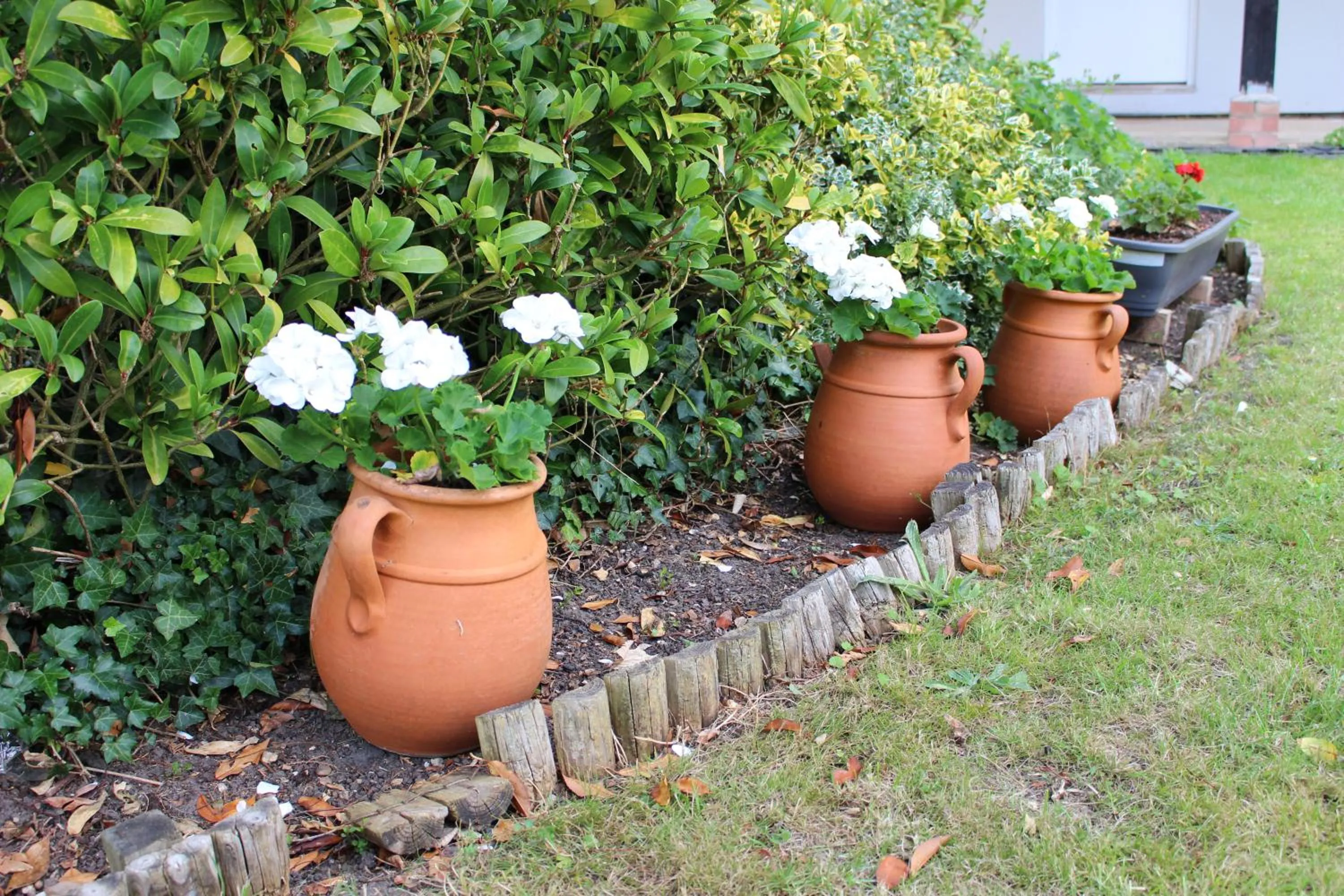 Garden in The Lord Byron Inn