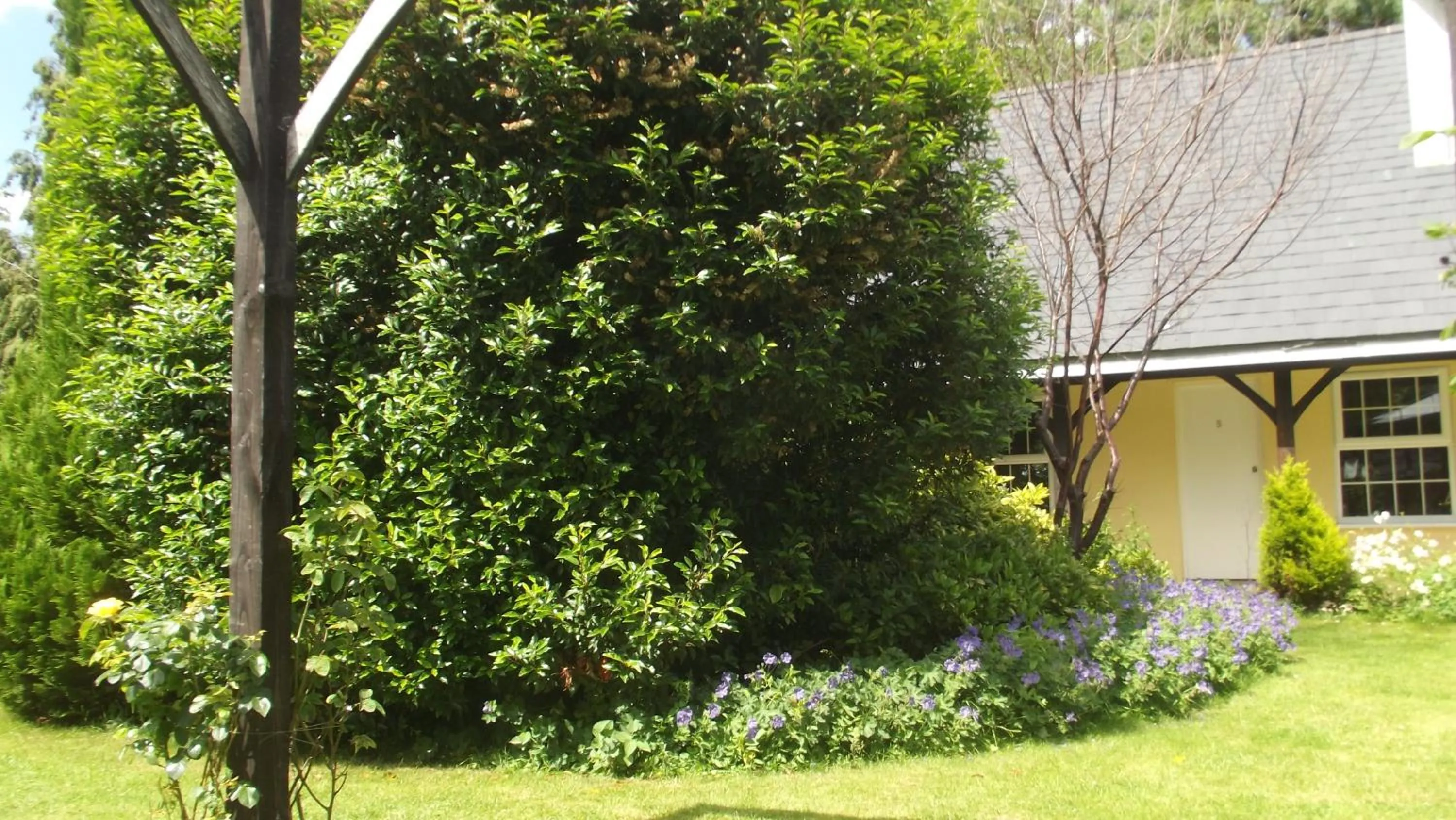 Property building in The Lord Byron Inn