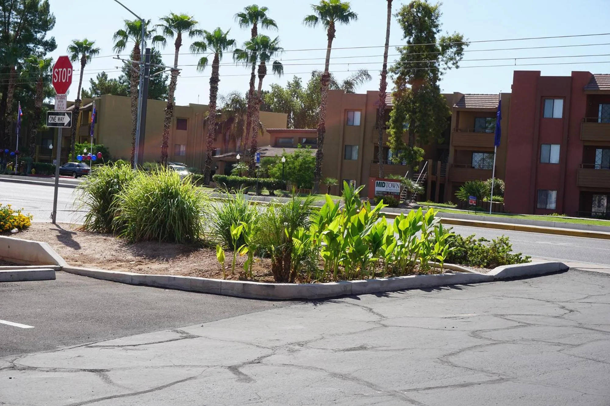 Garden view in Mesa Oasis Inn & Motel