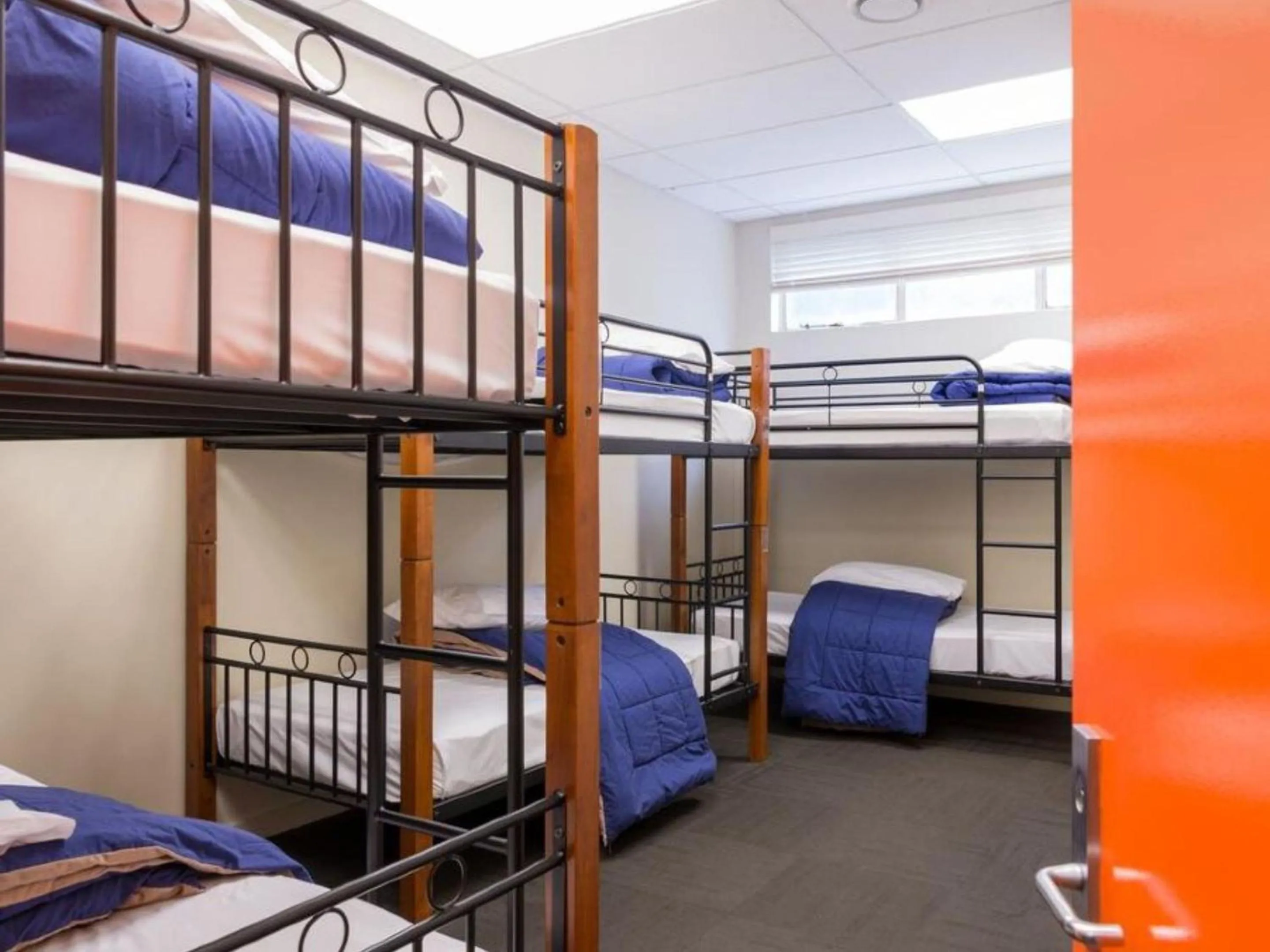 Bedroom, Bed in Trek Global Backpackers