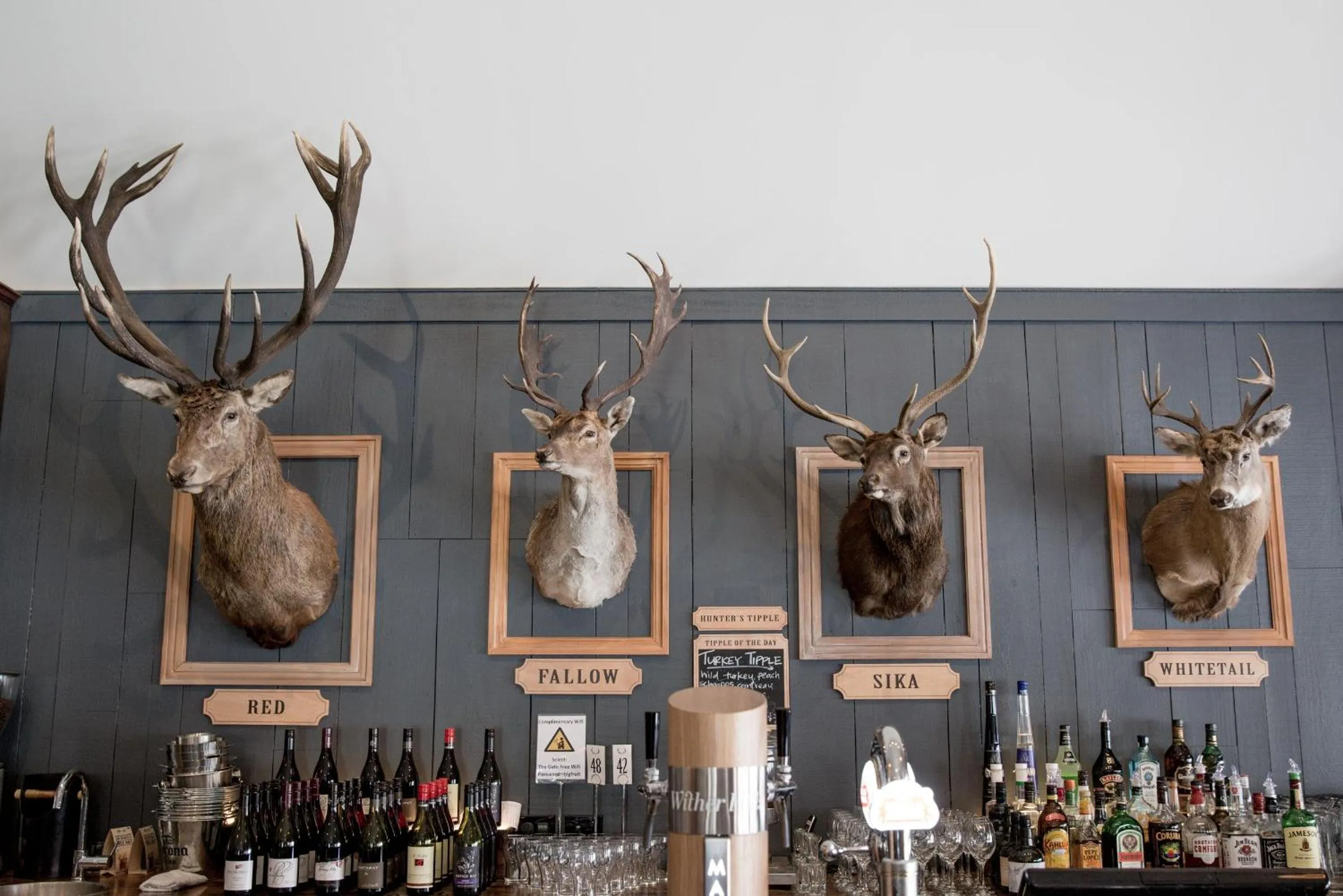 Restaurant/places to eat in The Harvest Hotel