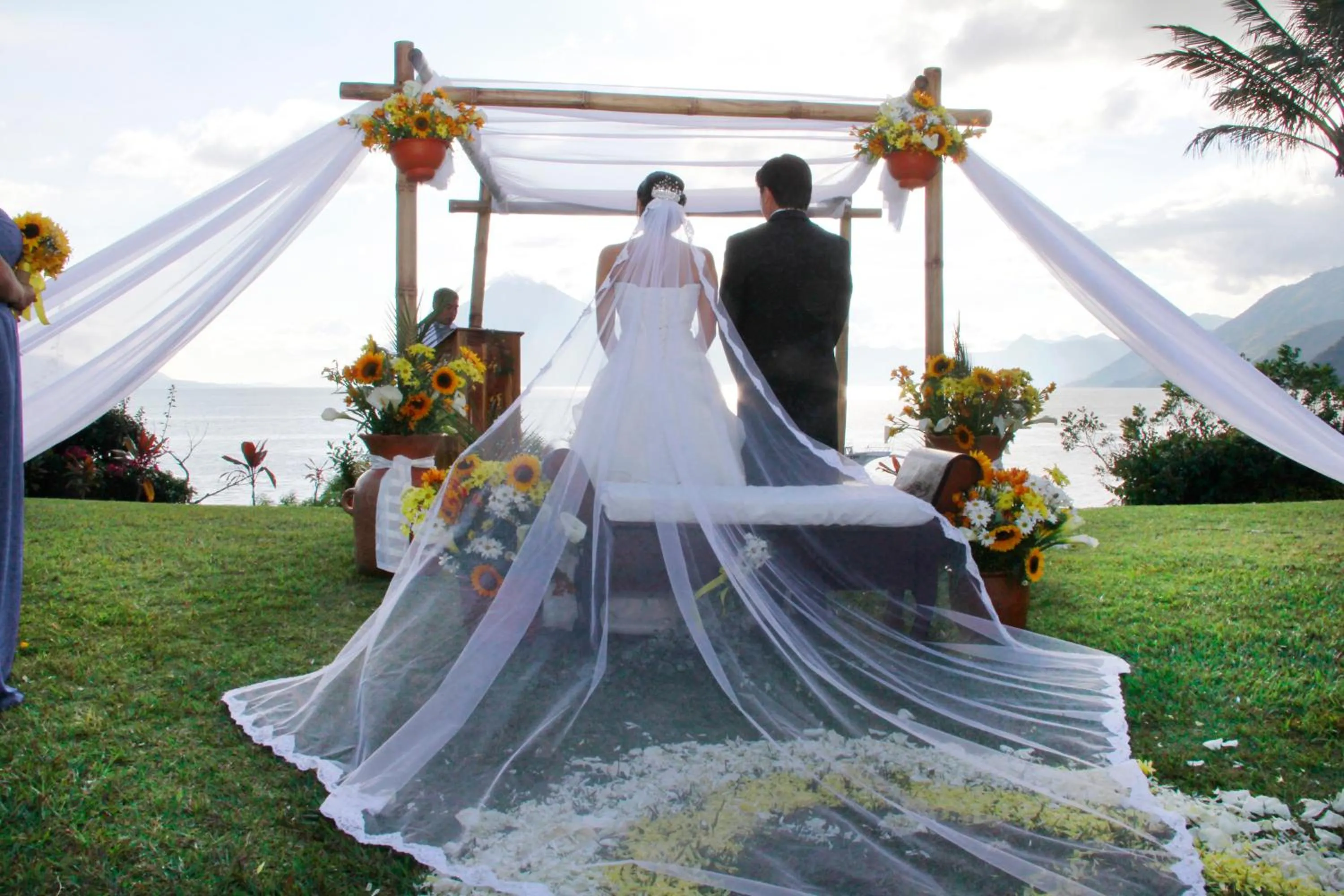 Natural landscape in Hotel y Centro de Convenciones Jardines del Lago