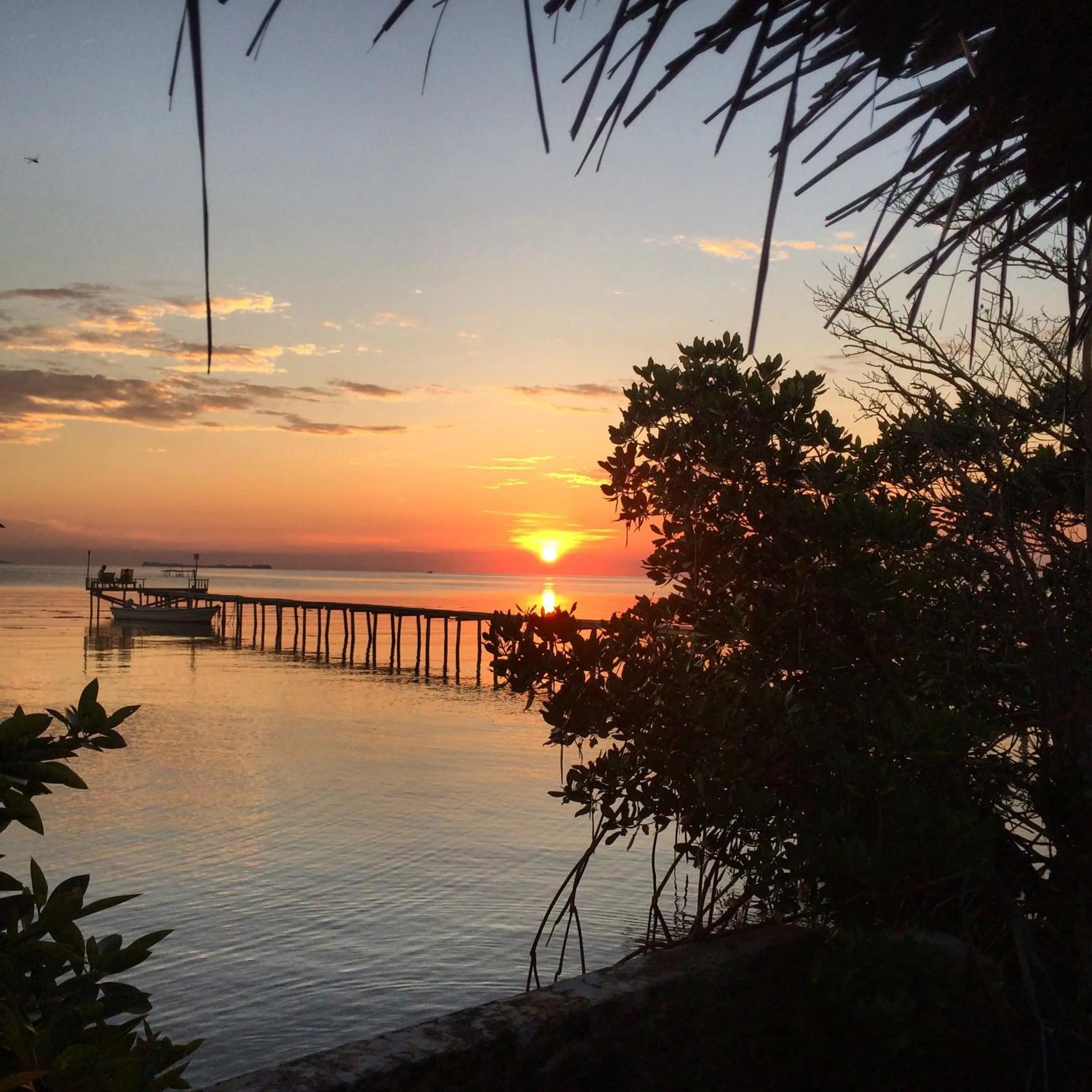 Sea view in Omah Alchy Cottages