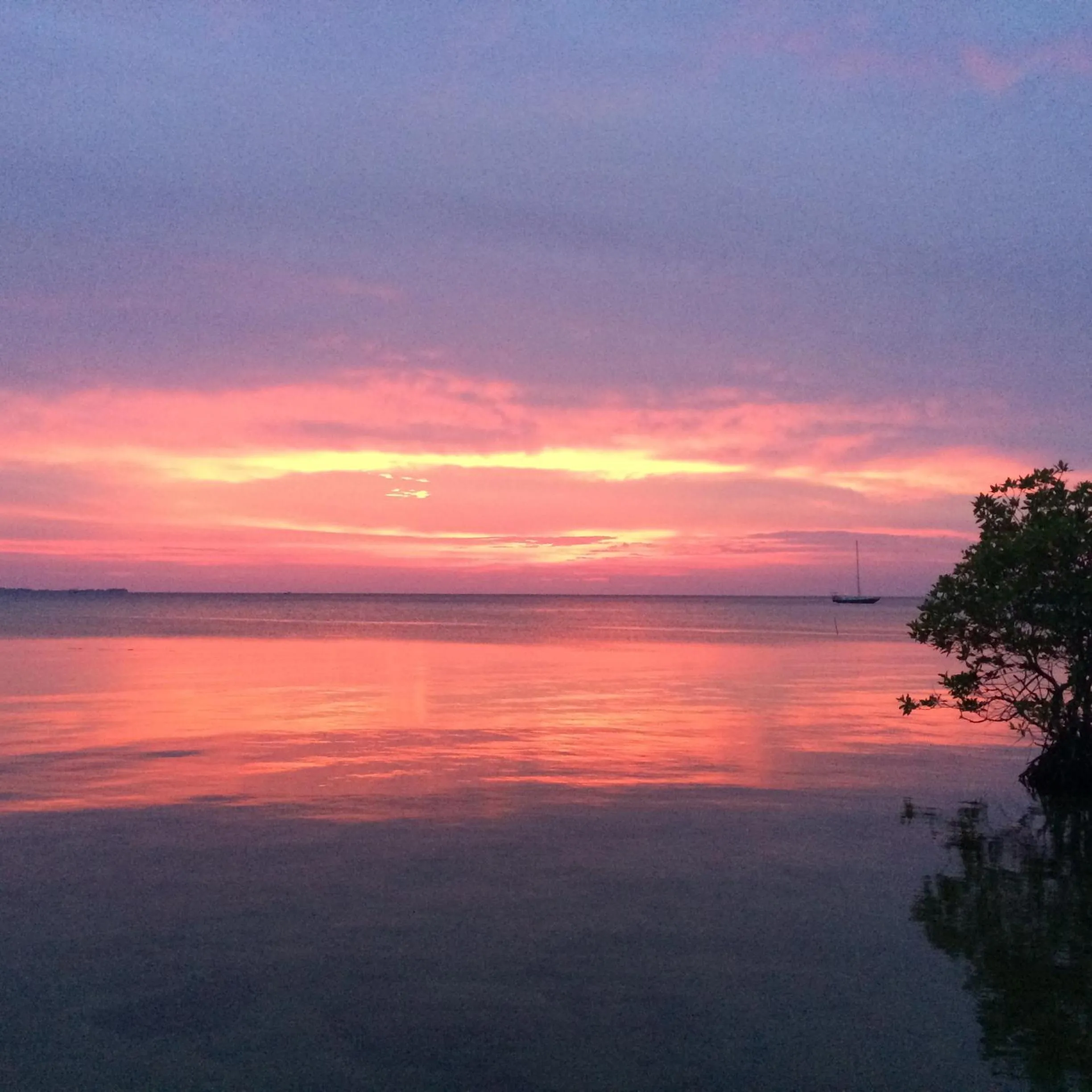 Sea view in Omah Alchy Cottages