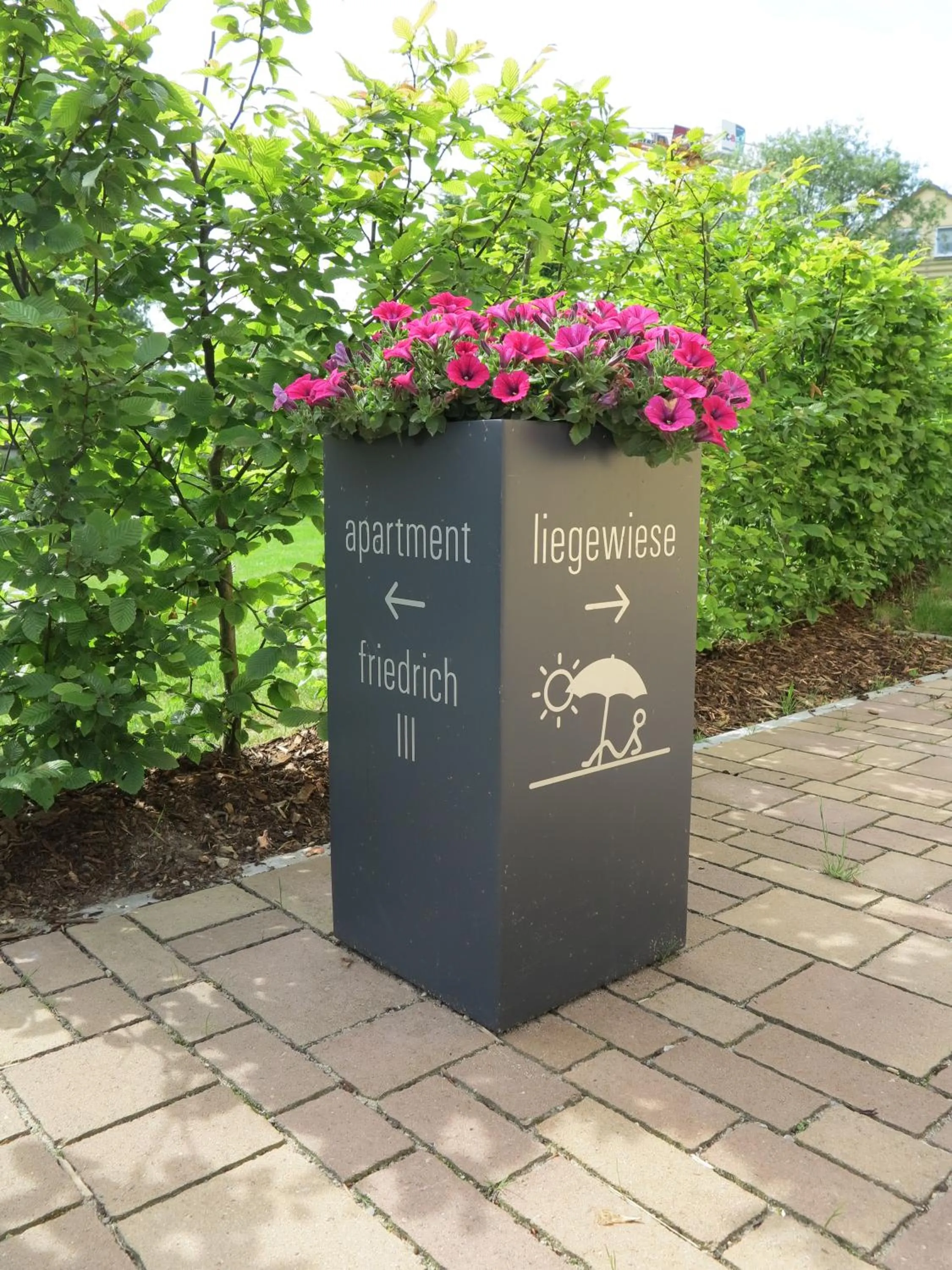 Garden in Hotel F-RITZ