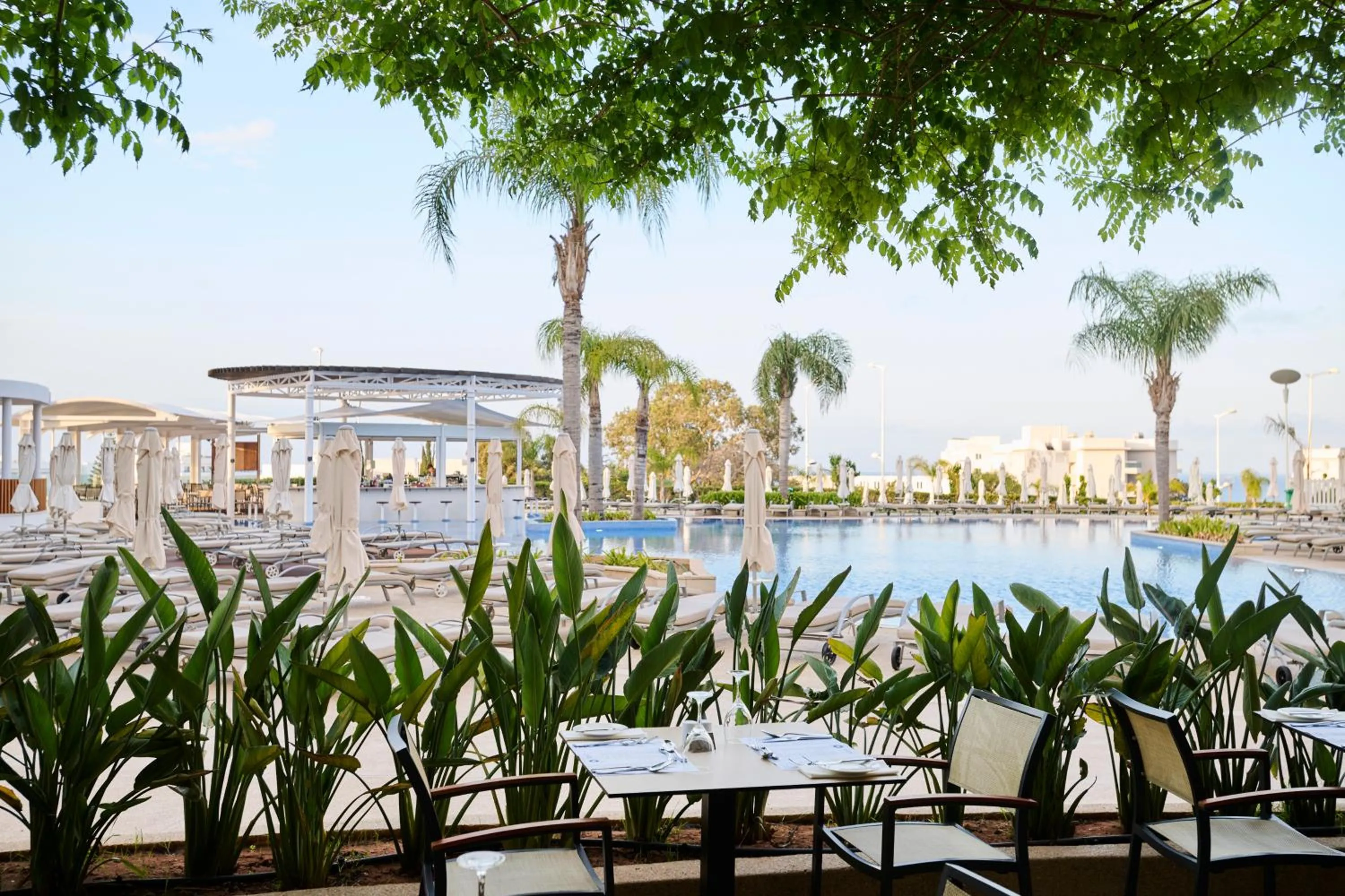 Restaurant/places to eat in Sunrise Oasis Hotel & Waterpark