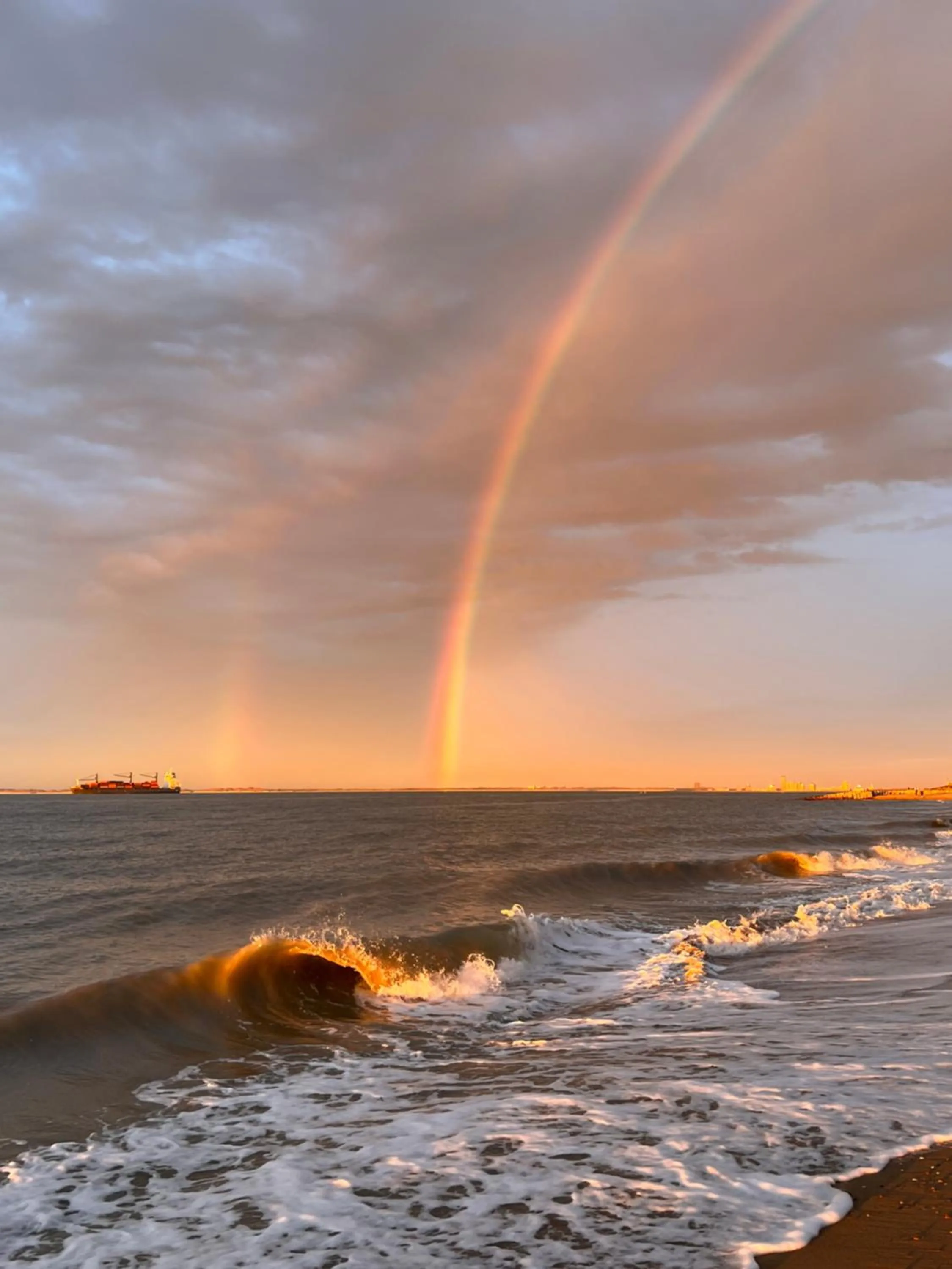 Area and facilities in Hotel Groede