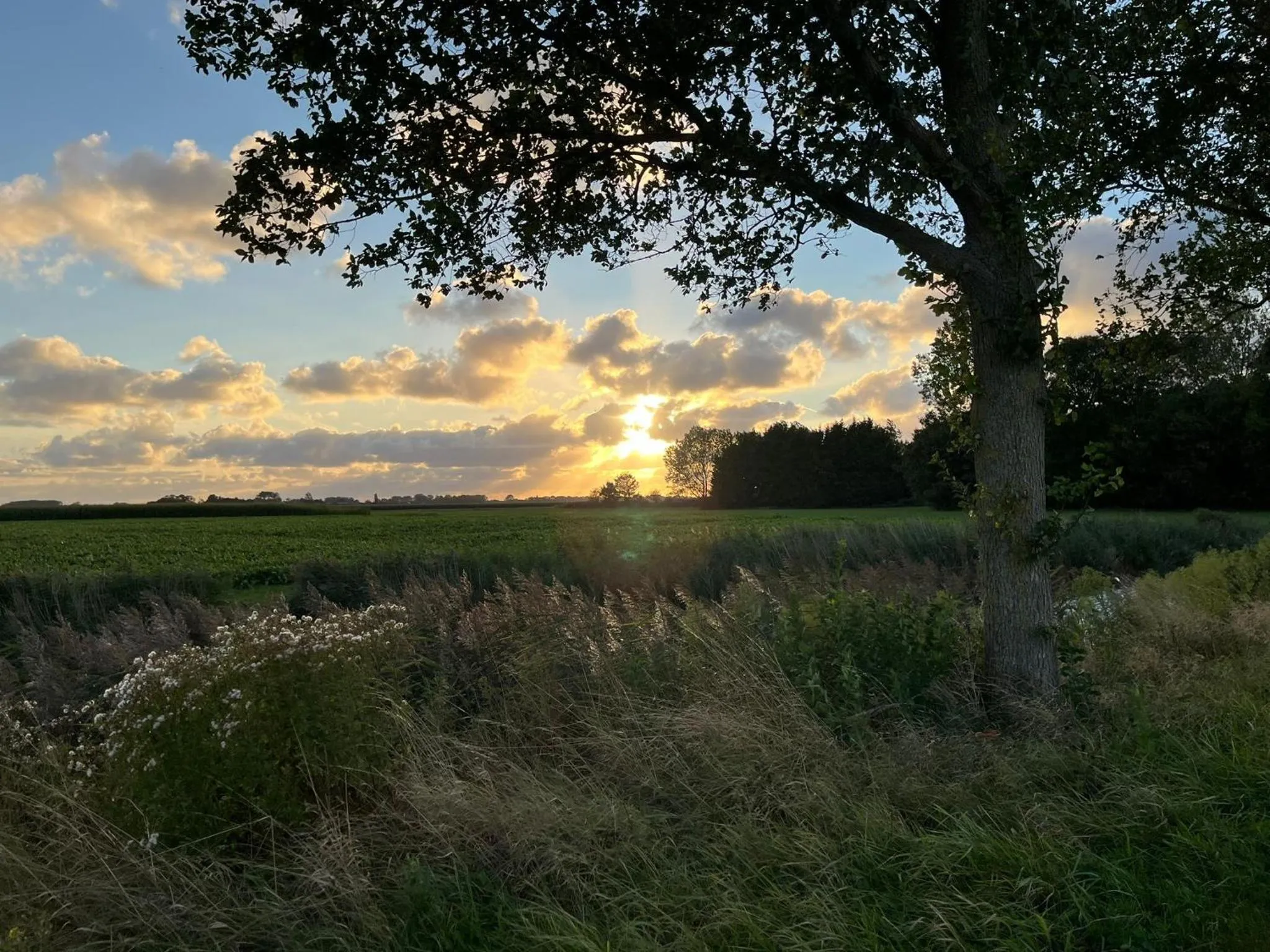 Natural landscape in Hotel Groede