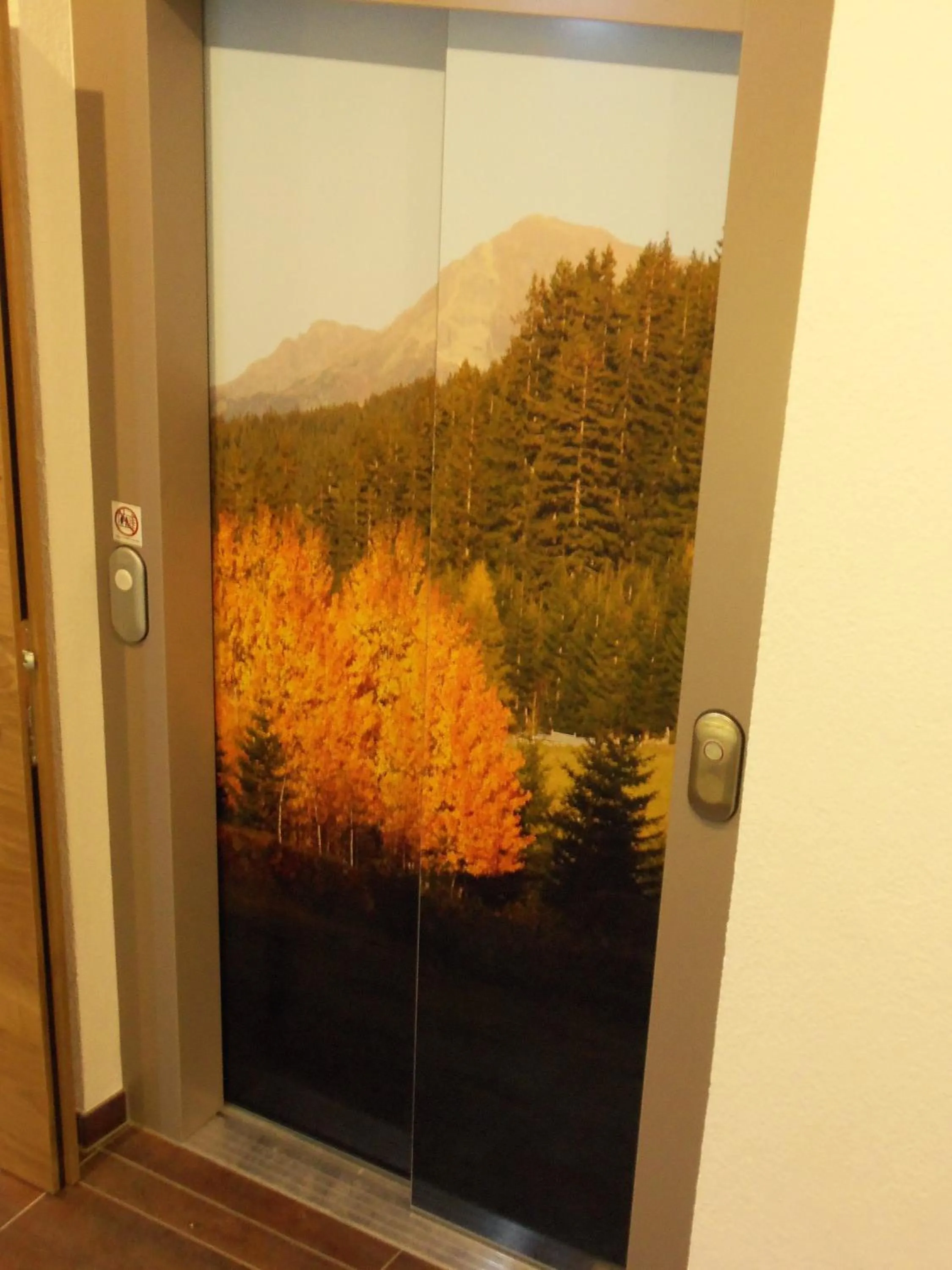 Decorative detail in Alpinhotel Monte Superior - Silvretta Card Premium Betrieb