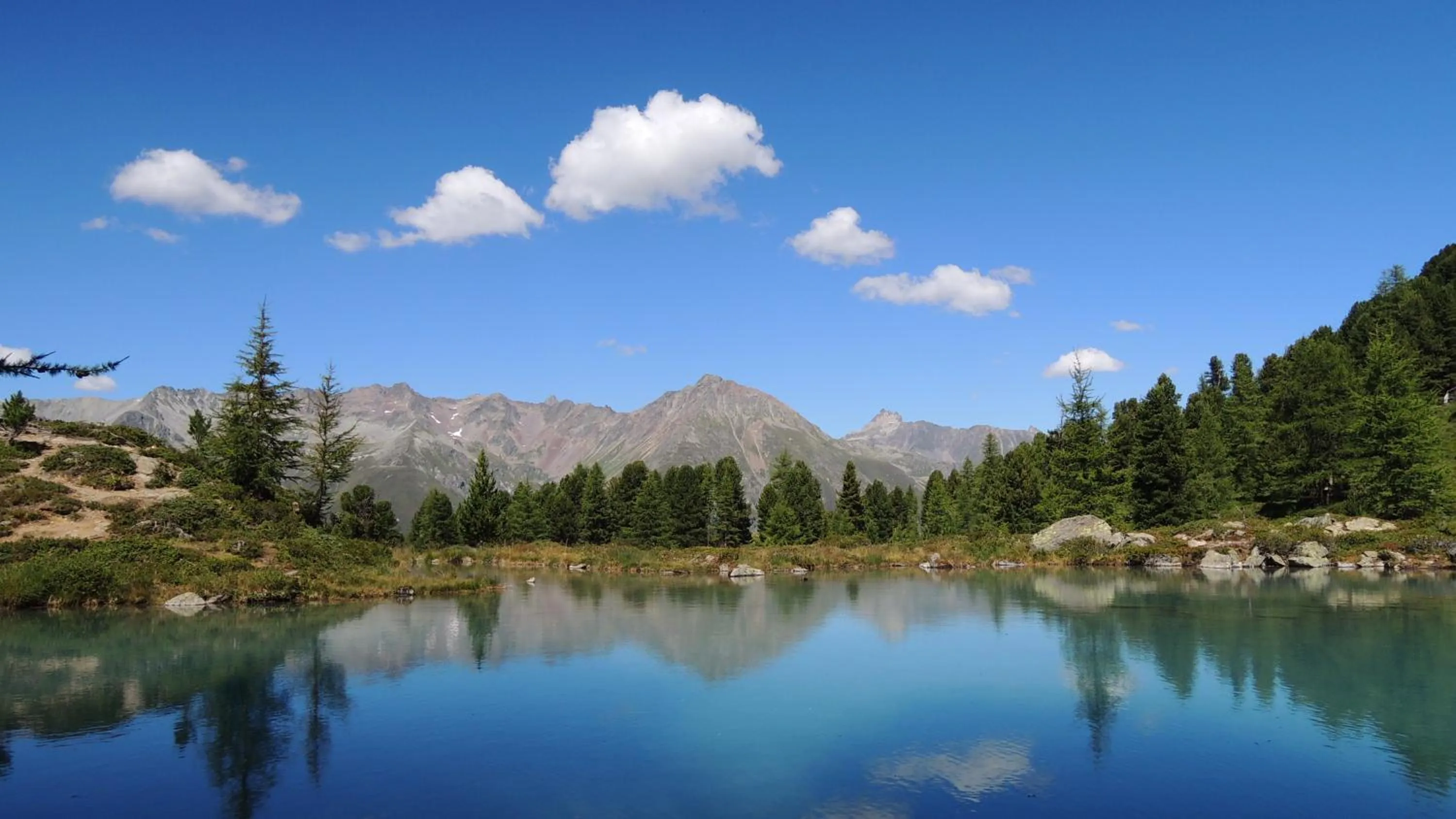 BBQ facilities in Alpinhotel Monte Superior - Silvretta Card Premium Betrieb
