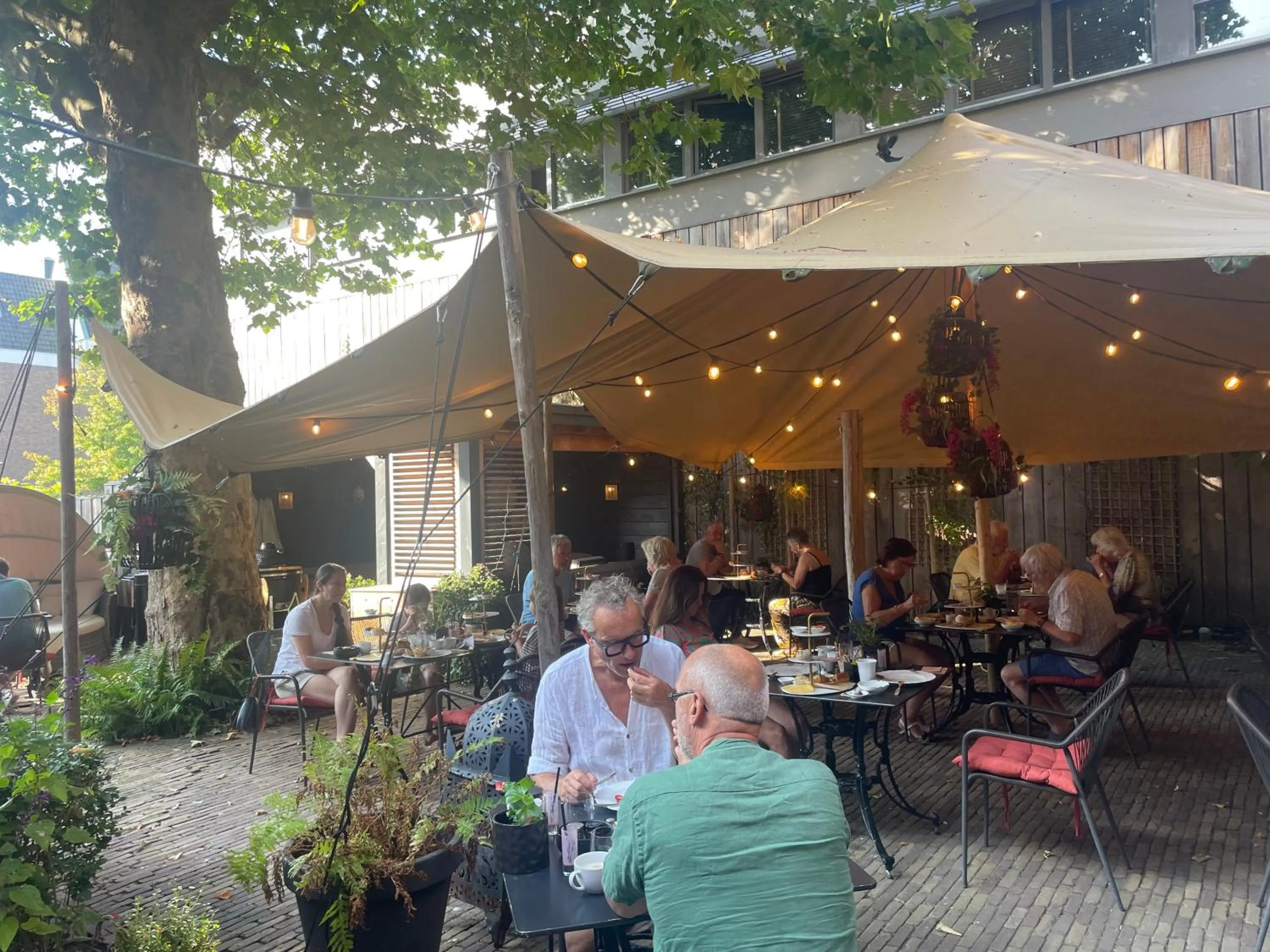 Garden in The Roosevelt Apartments