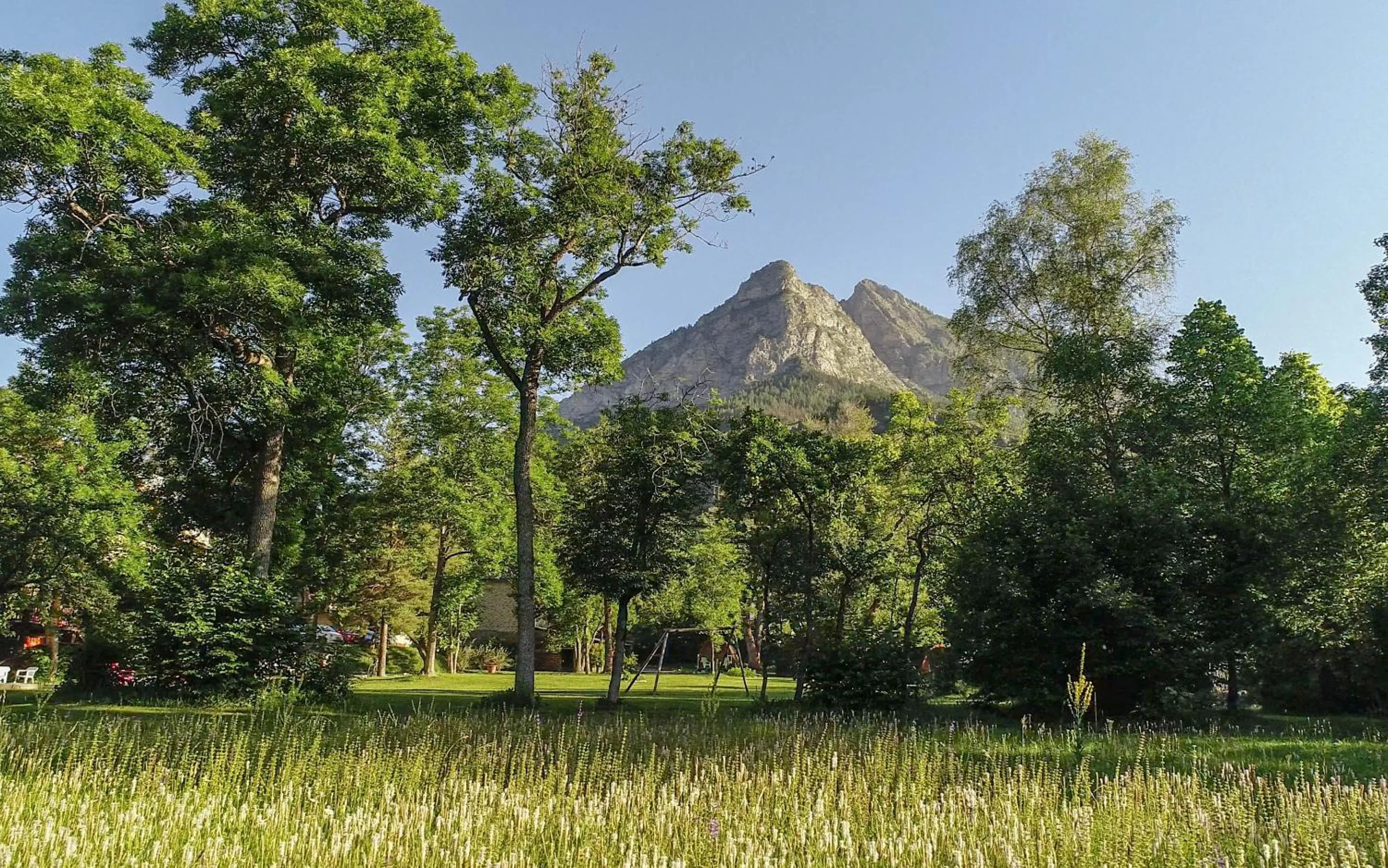 Garden in Hôtel Le Martagon