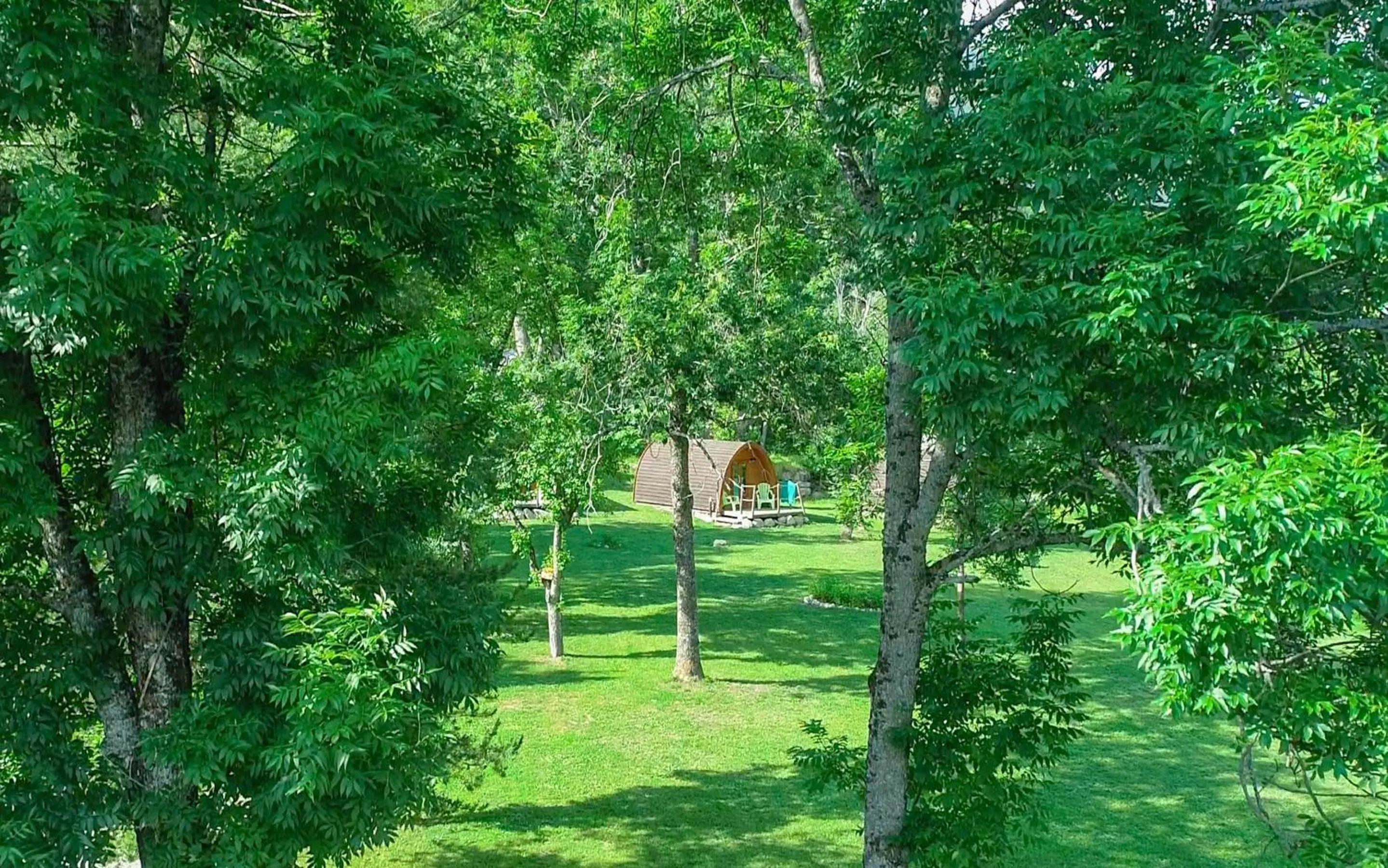 Garden in Hôtel Le Martagon