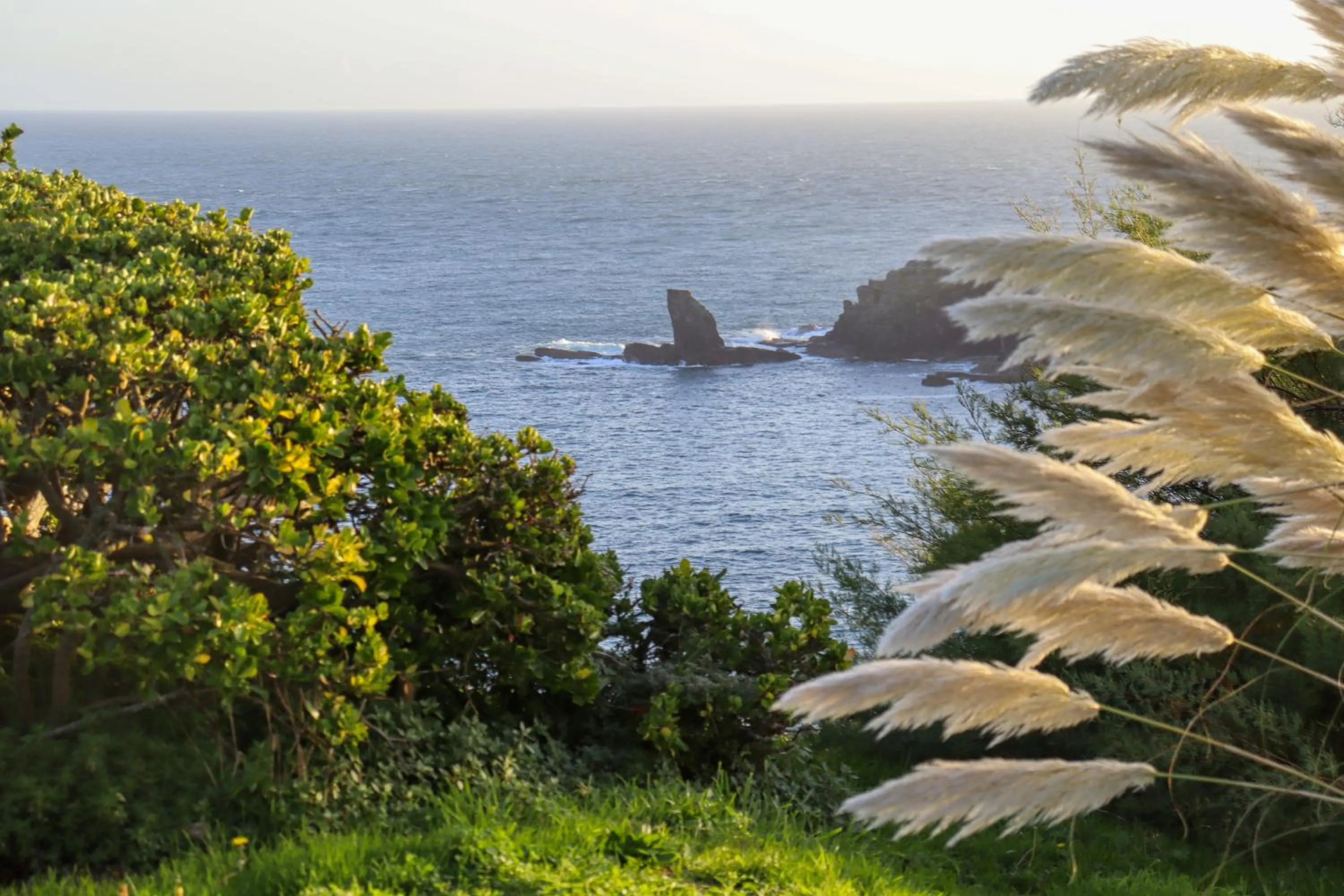 Garden in Housel Bay Hotel