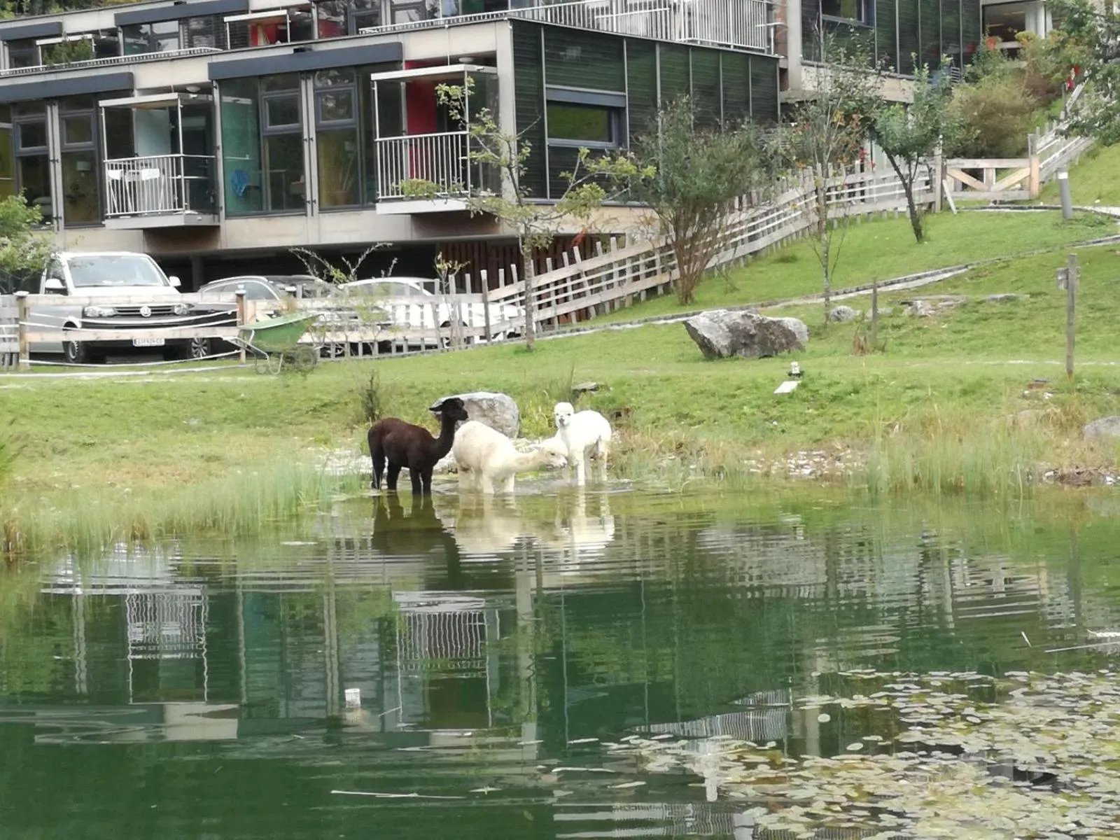 Garden in Oase Berta