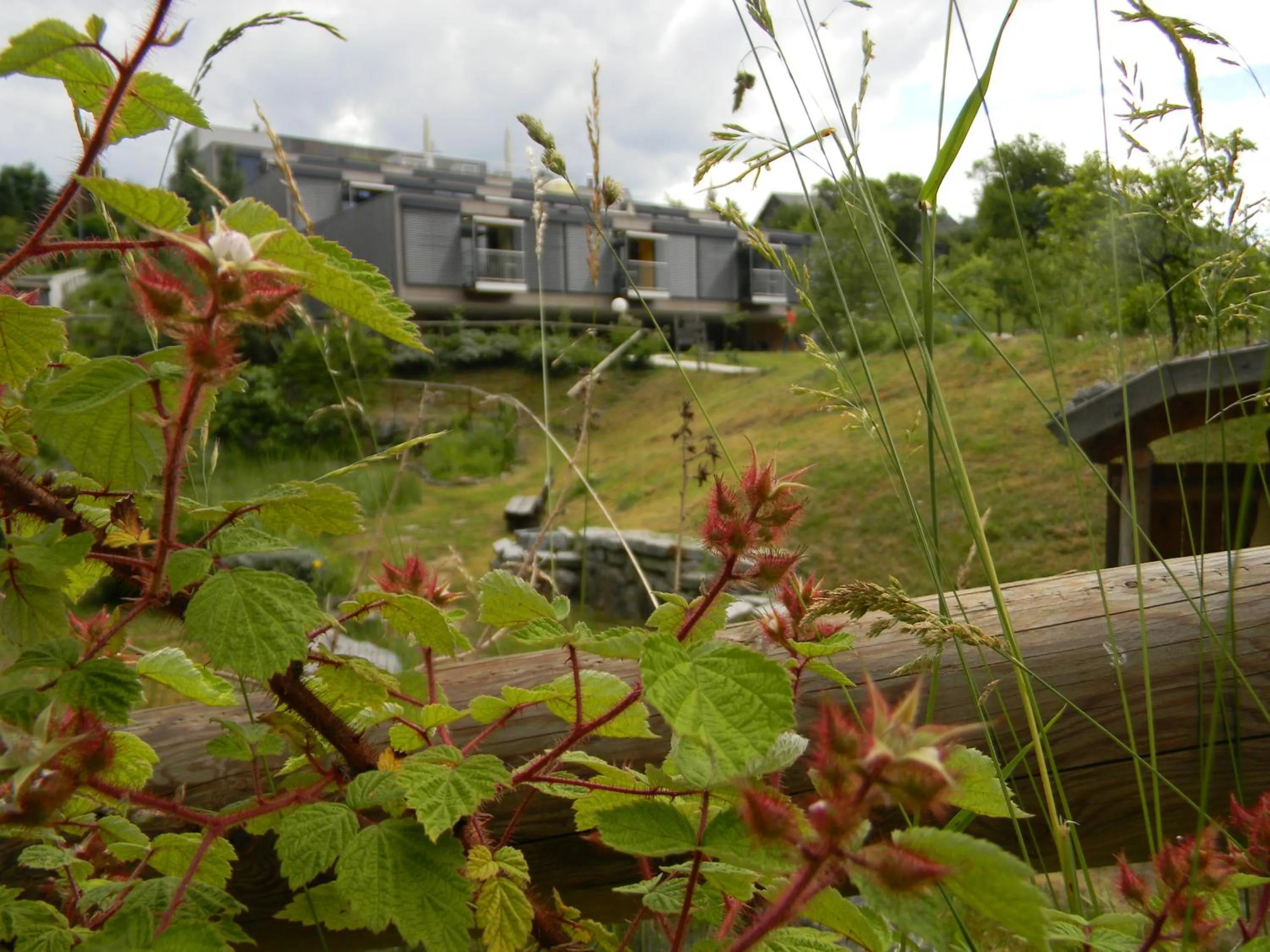Garden view in Oase Berta