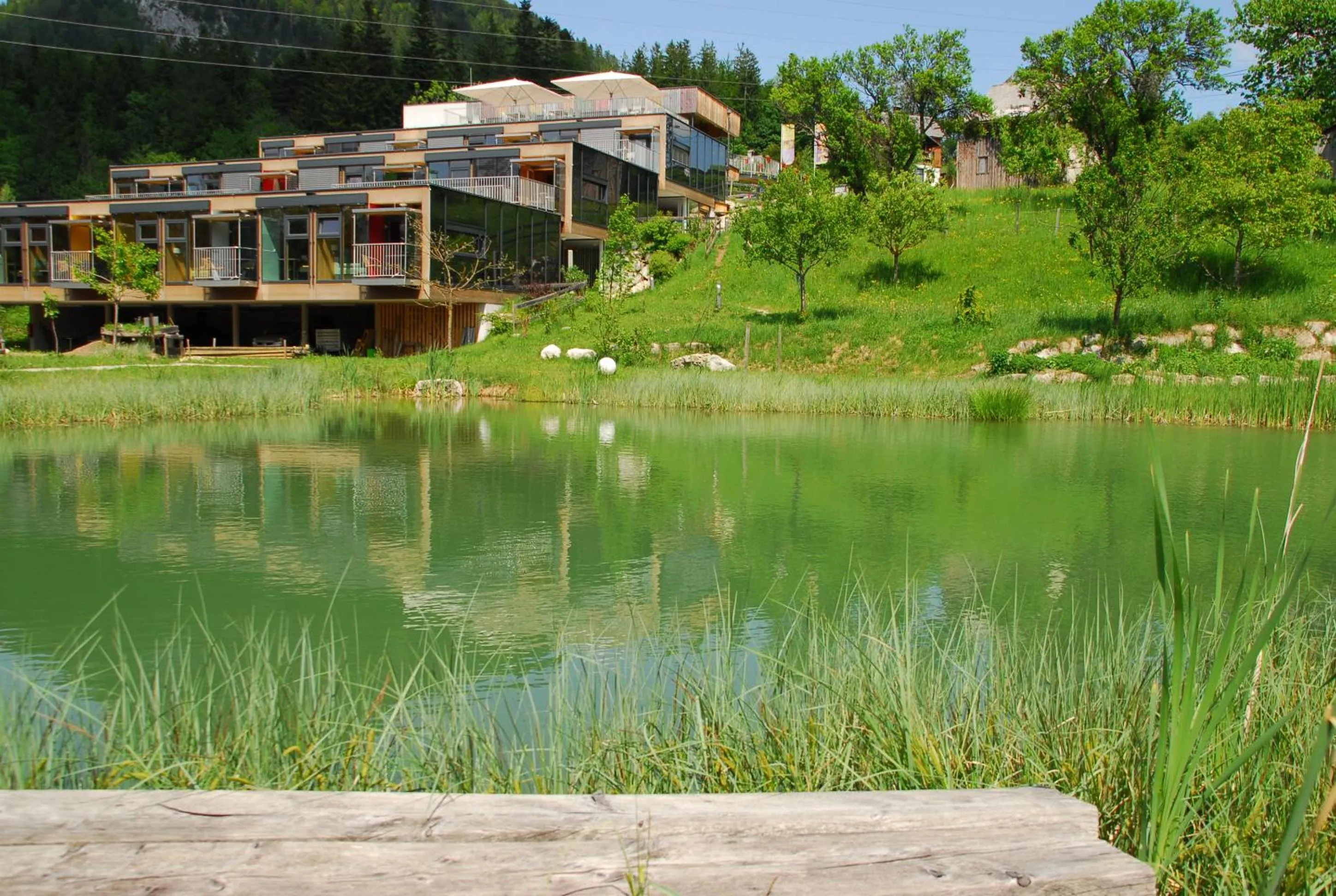 Property building in Oase Berta