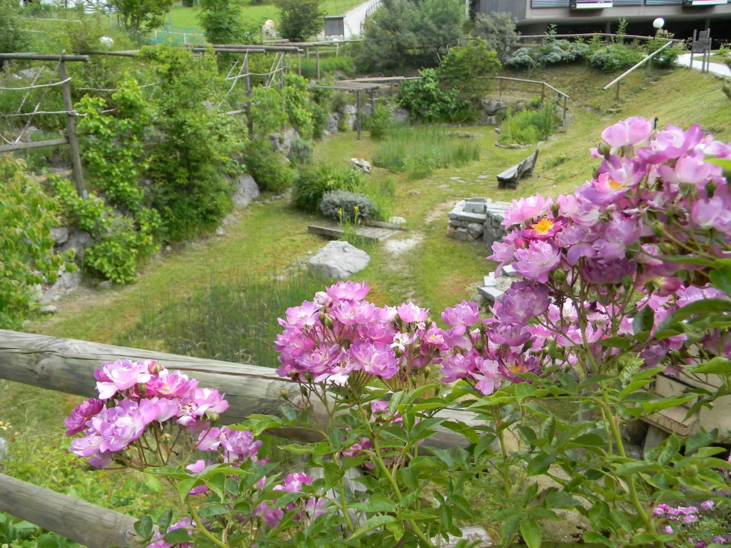 Garden in Oase Berta