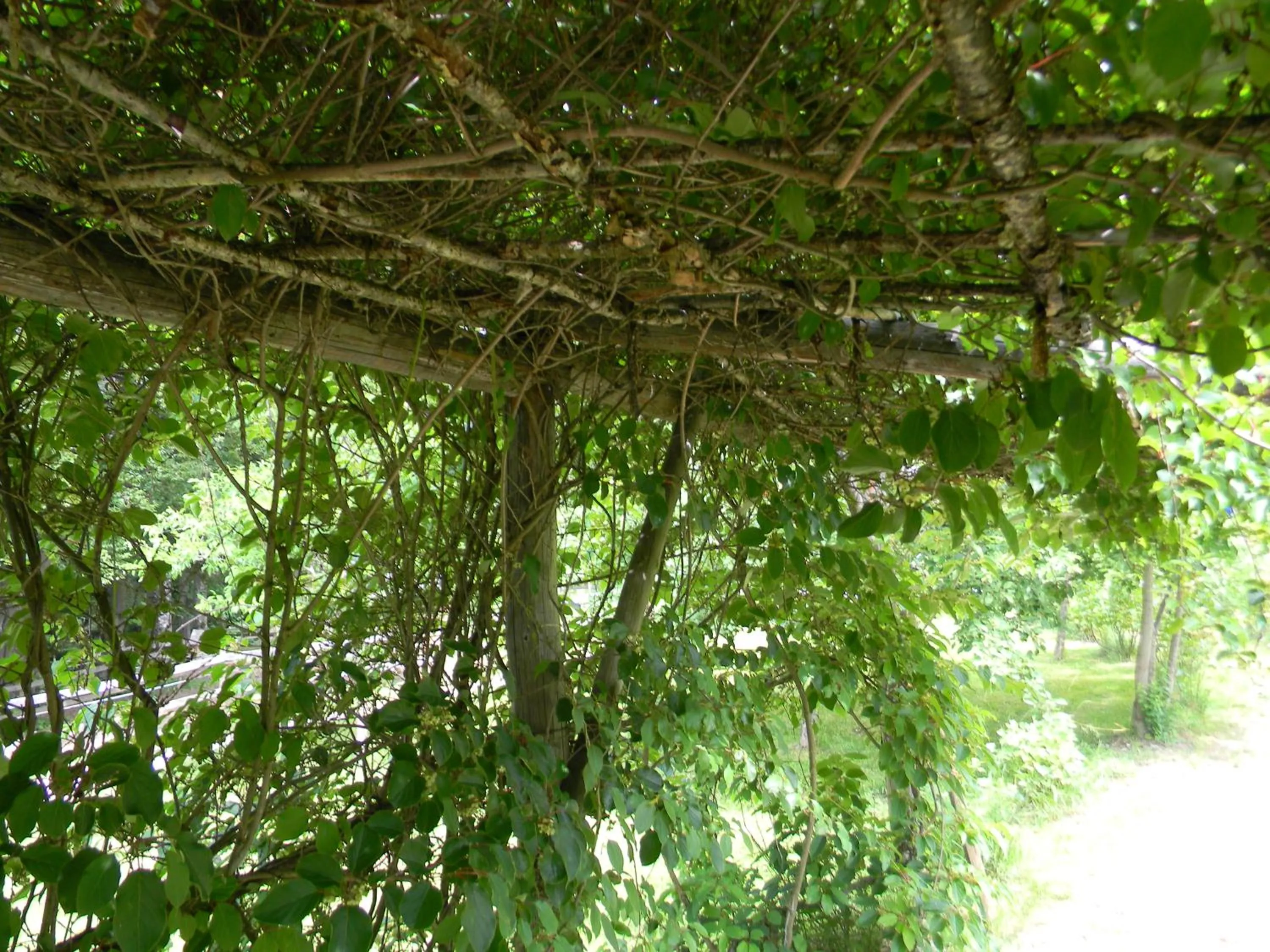 Garden in Oase Berta