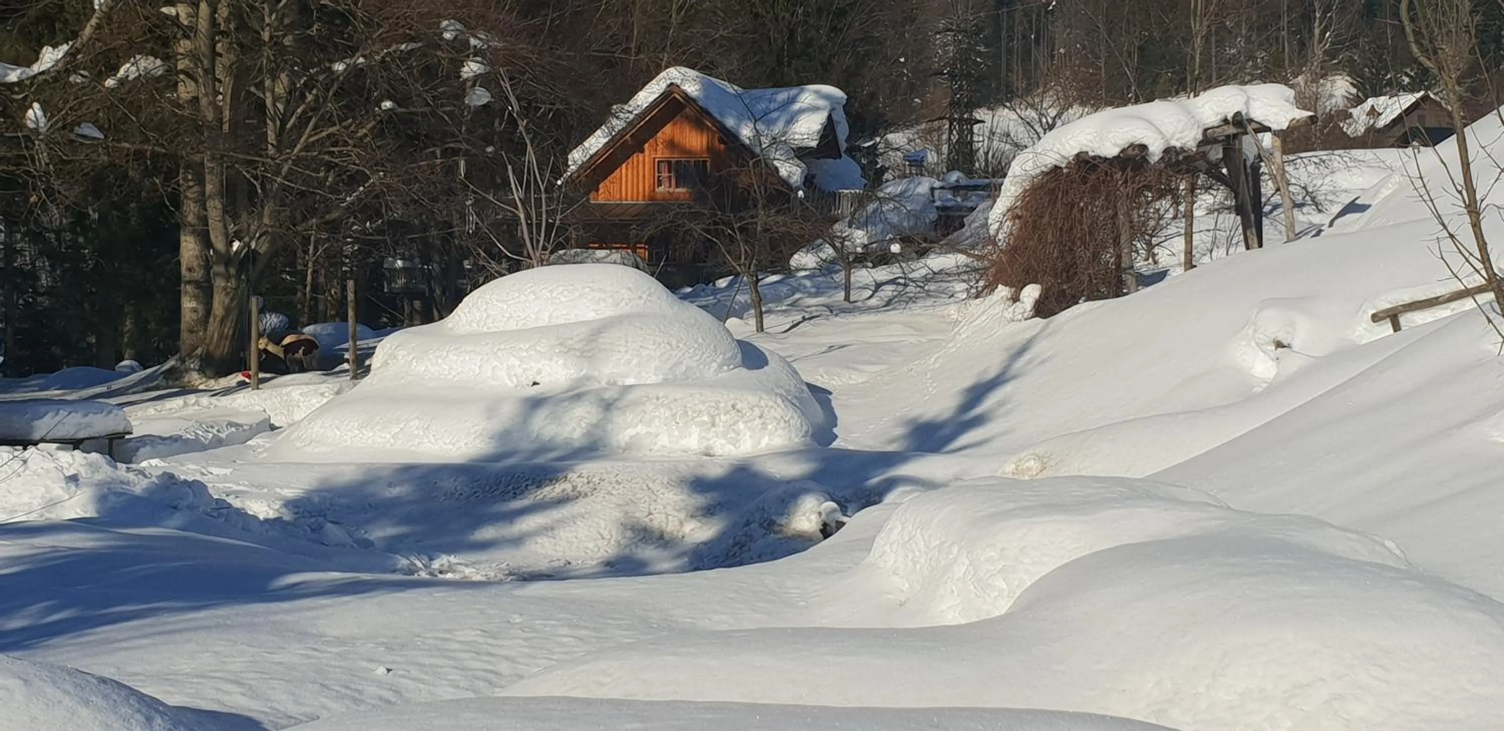 Garden in Oase Berta