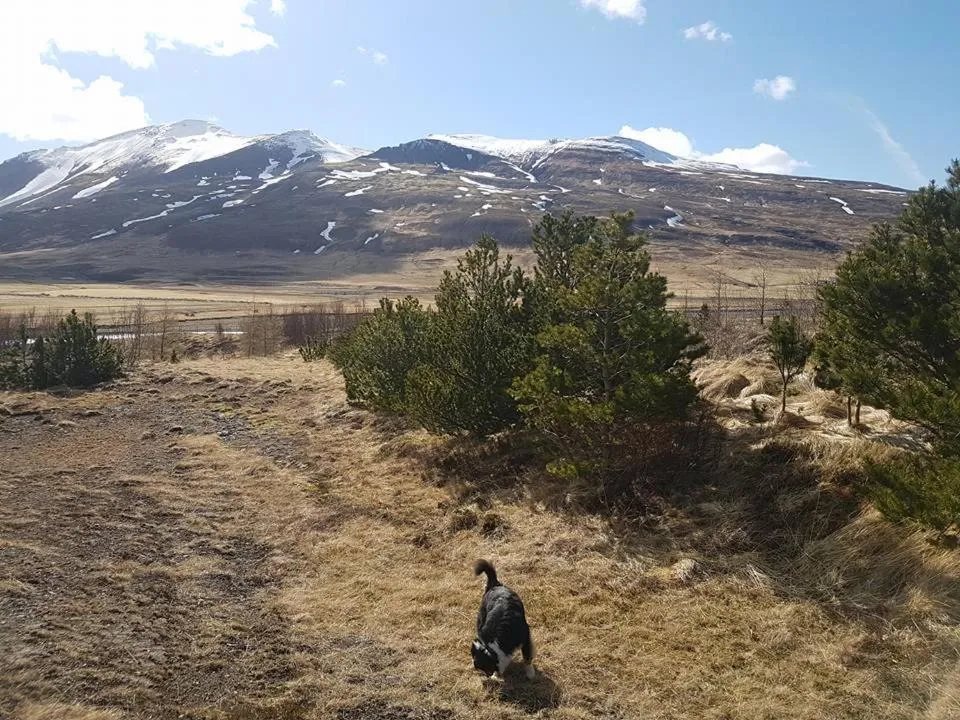 Natural landscape in Ravencliff Lodge