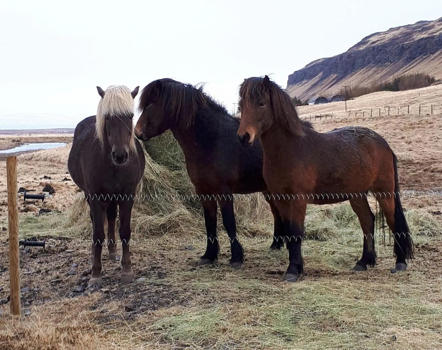 Property building in Ravencliff Lodge