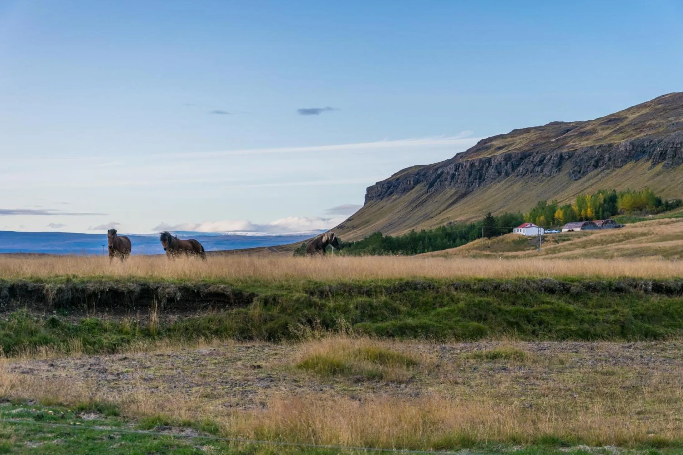 Natural landscape in Ravencliff Lodge