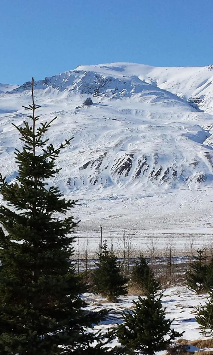 Natural landscape in Ravencliff Lodge