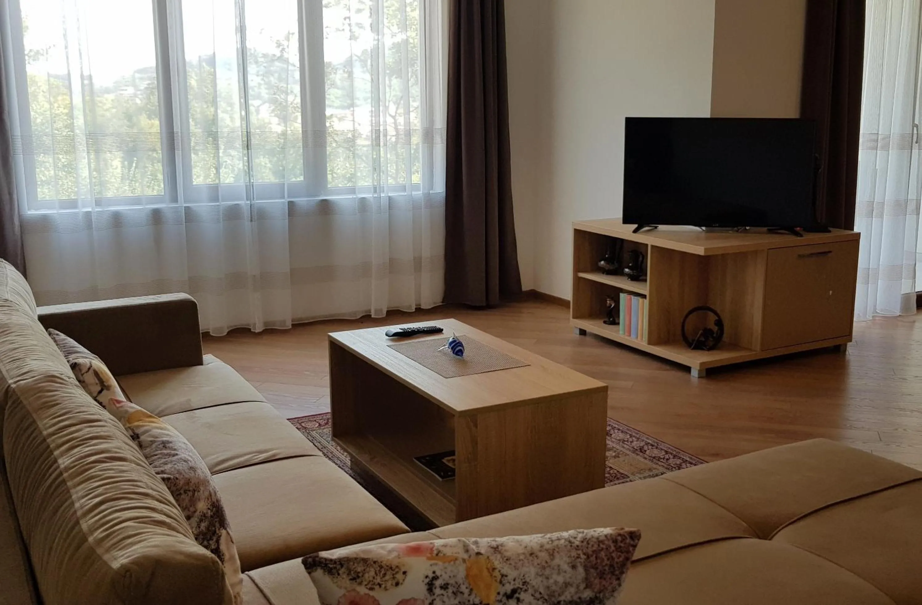 TV and multimedia in Green Hill Apartments