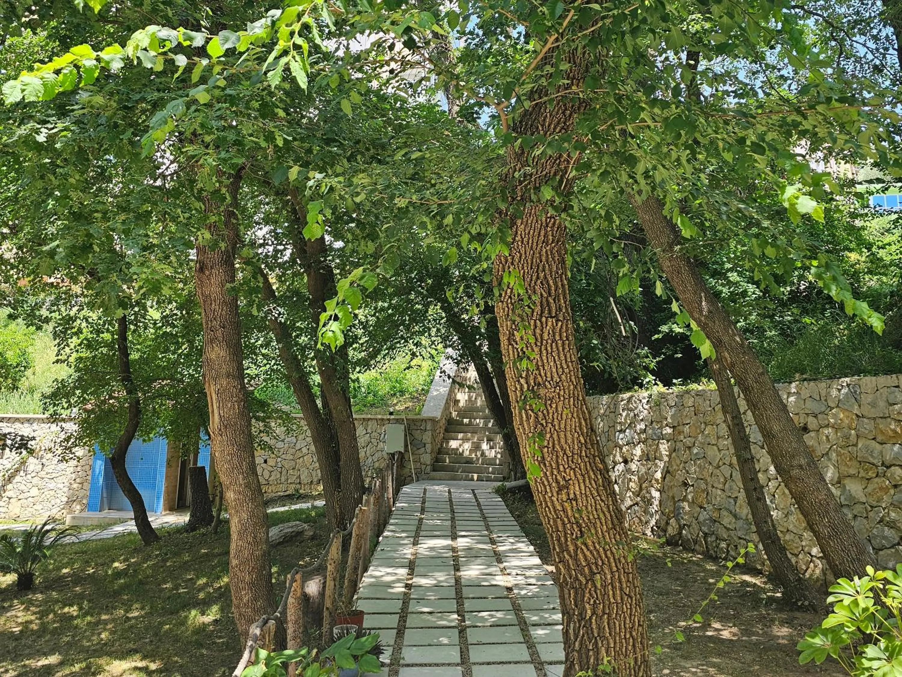Green Hill Apartments