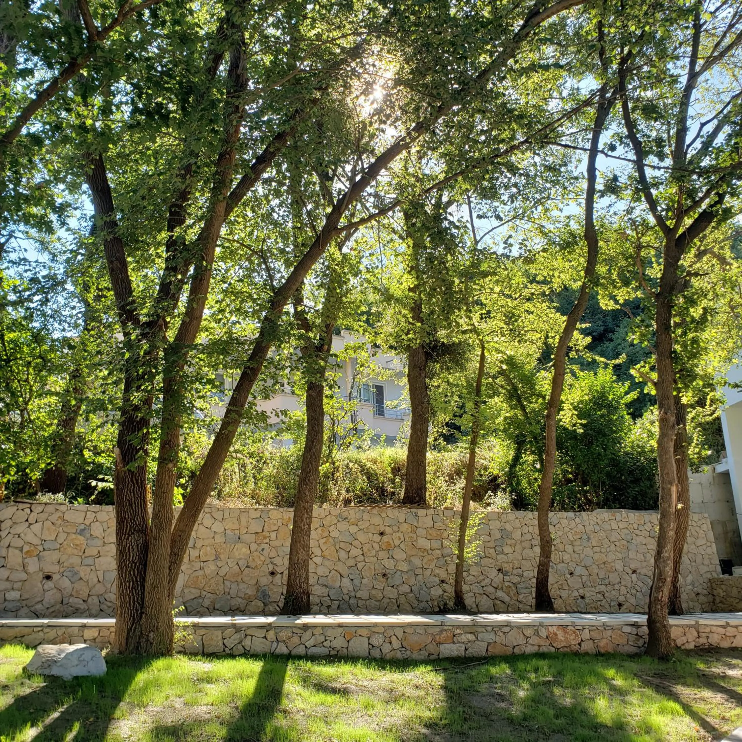 Green Hill Apartments