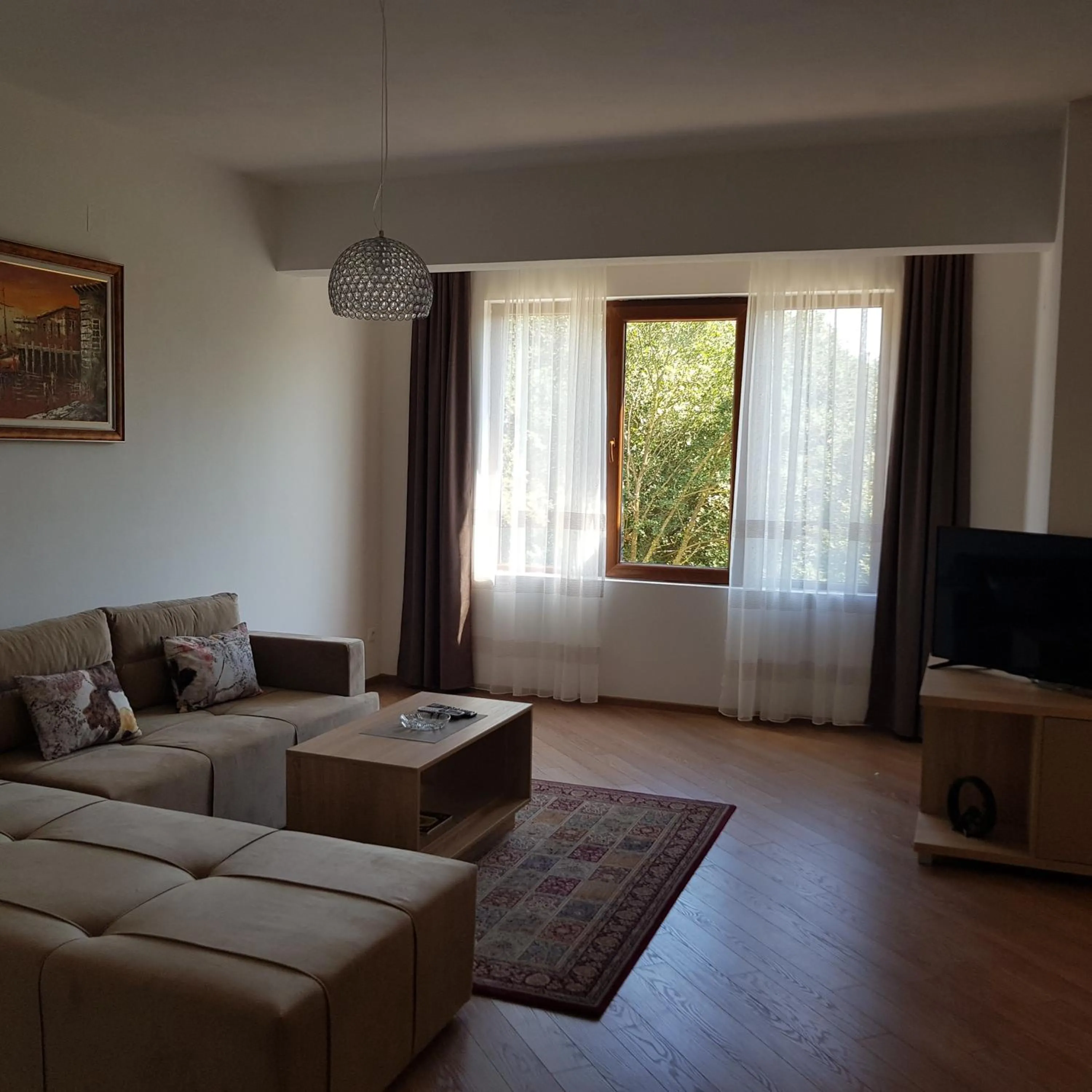 TV and multimedia in Green Hill Apartments