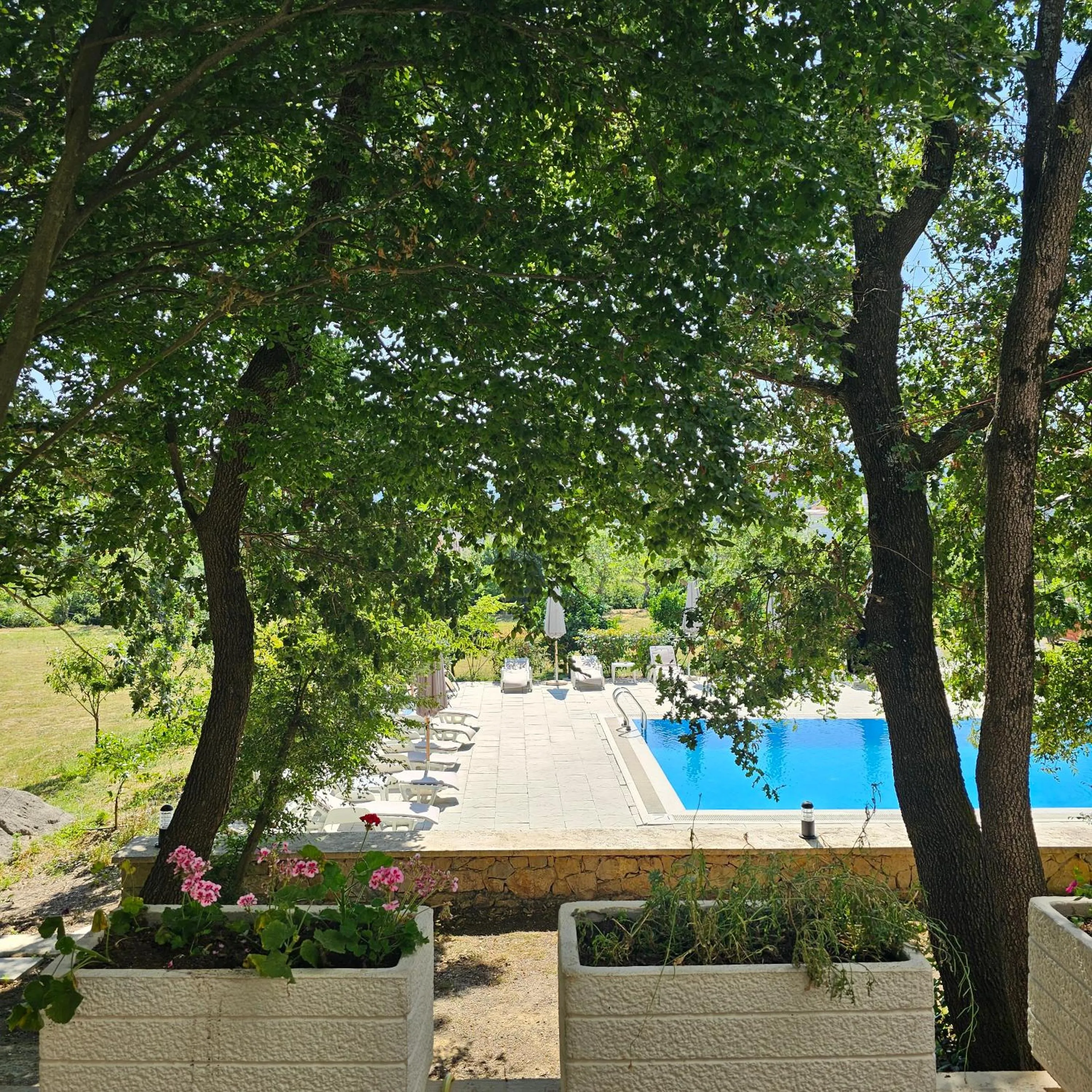 Green Hill Apartments