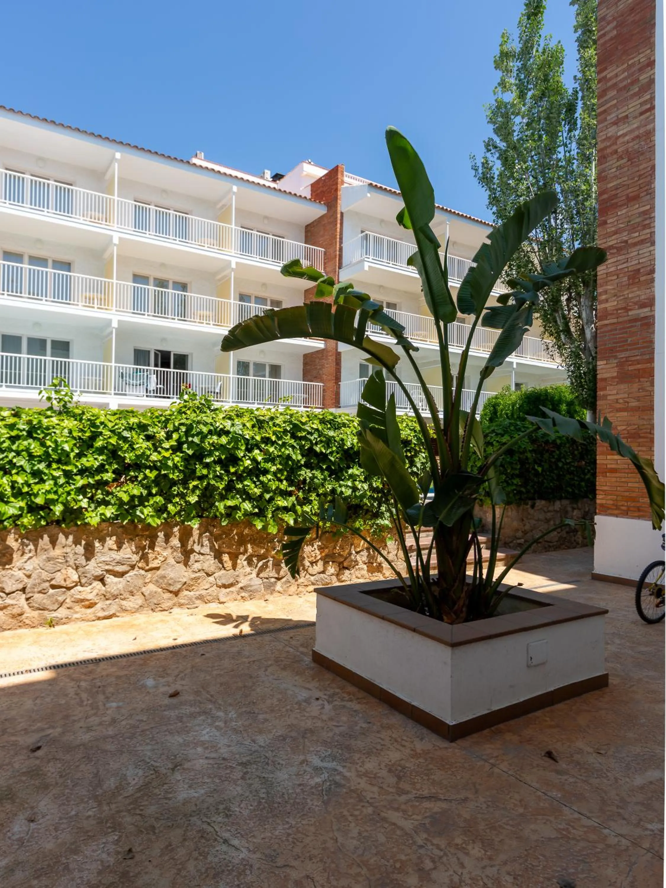 Garden in Apartamentos Sunway Arizona