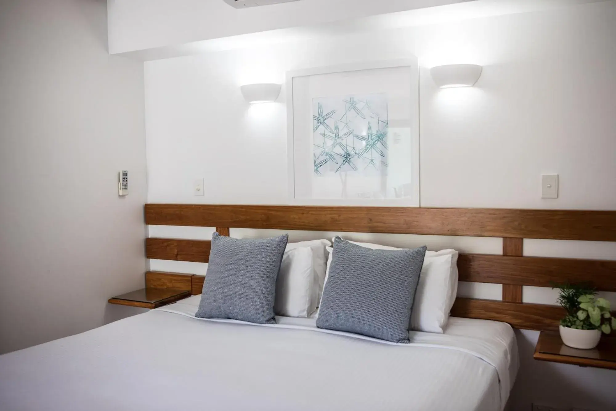Executive Pool View Room - single occupancy - Free Wifi & Parking in Port Douglas Peninsula Boutique Hotel - Adults Only Haven Executive Pool View Room - single occupancy - Free Wifi & Parking in Port Douglas Peninsula Boutique Hotel - Adults Only Haven