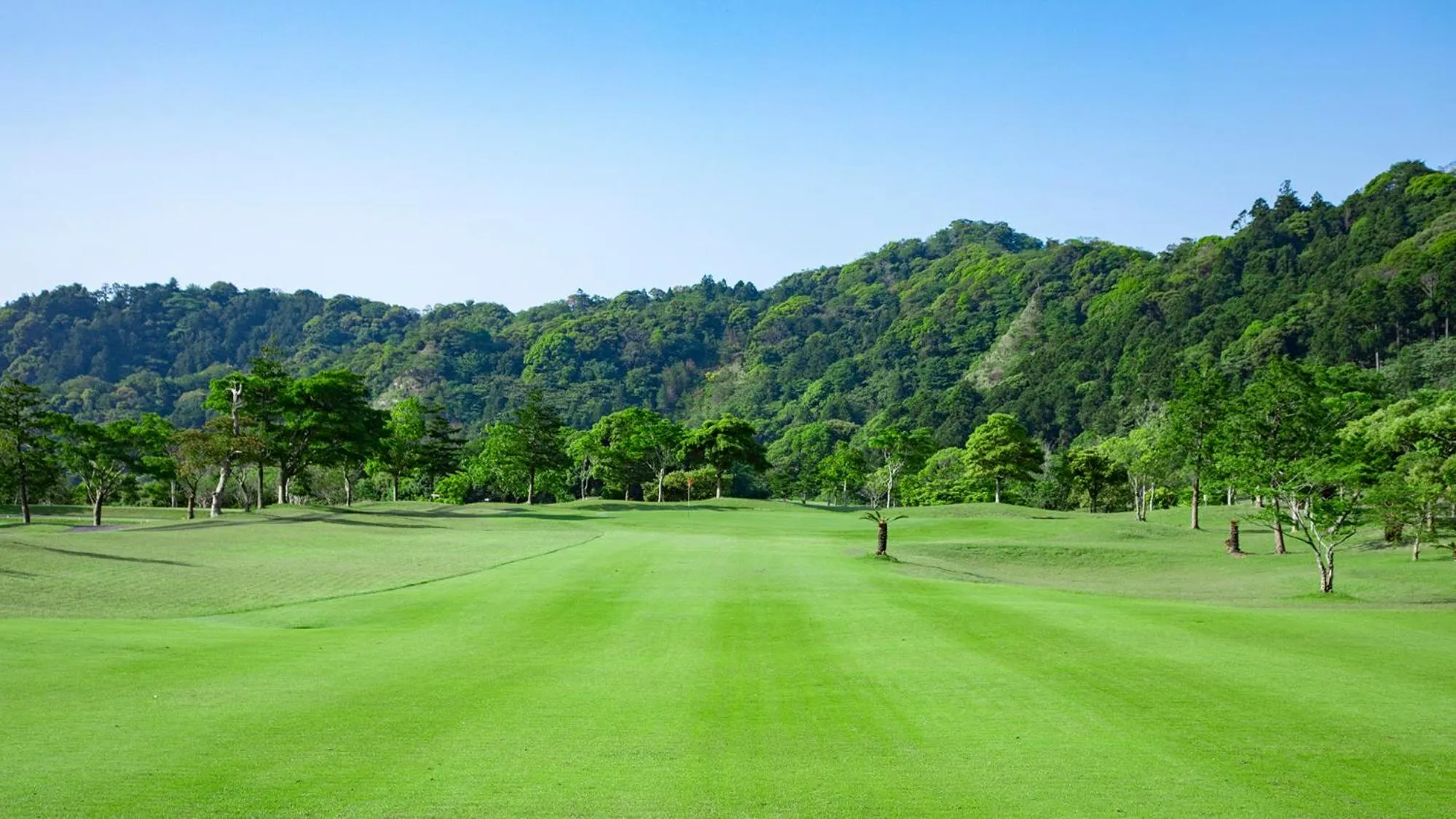 Golfcourse in Kamogawa Country Hotel