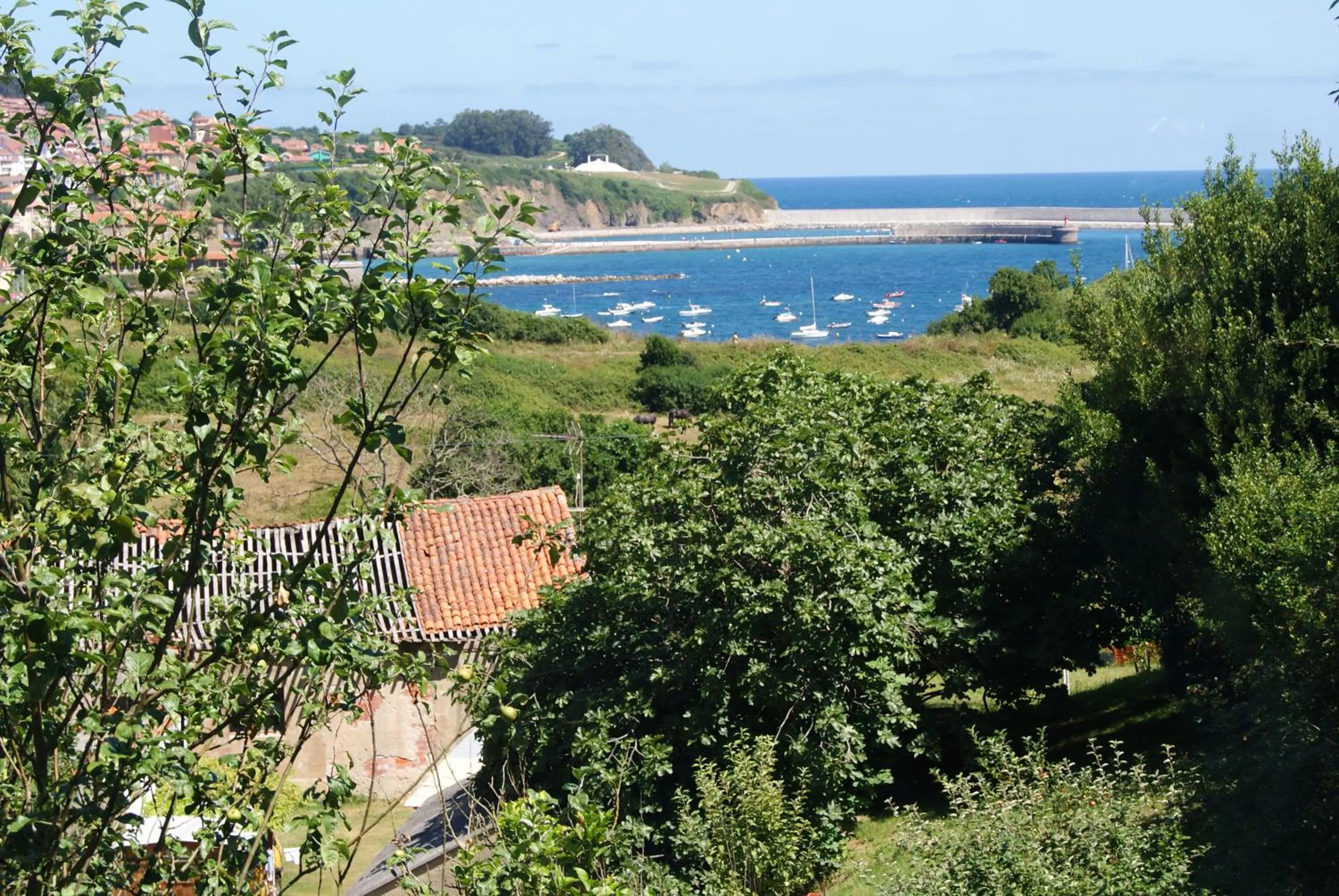 Day in Hotel Los Laureles