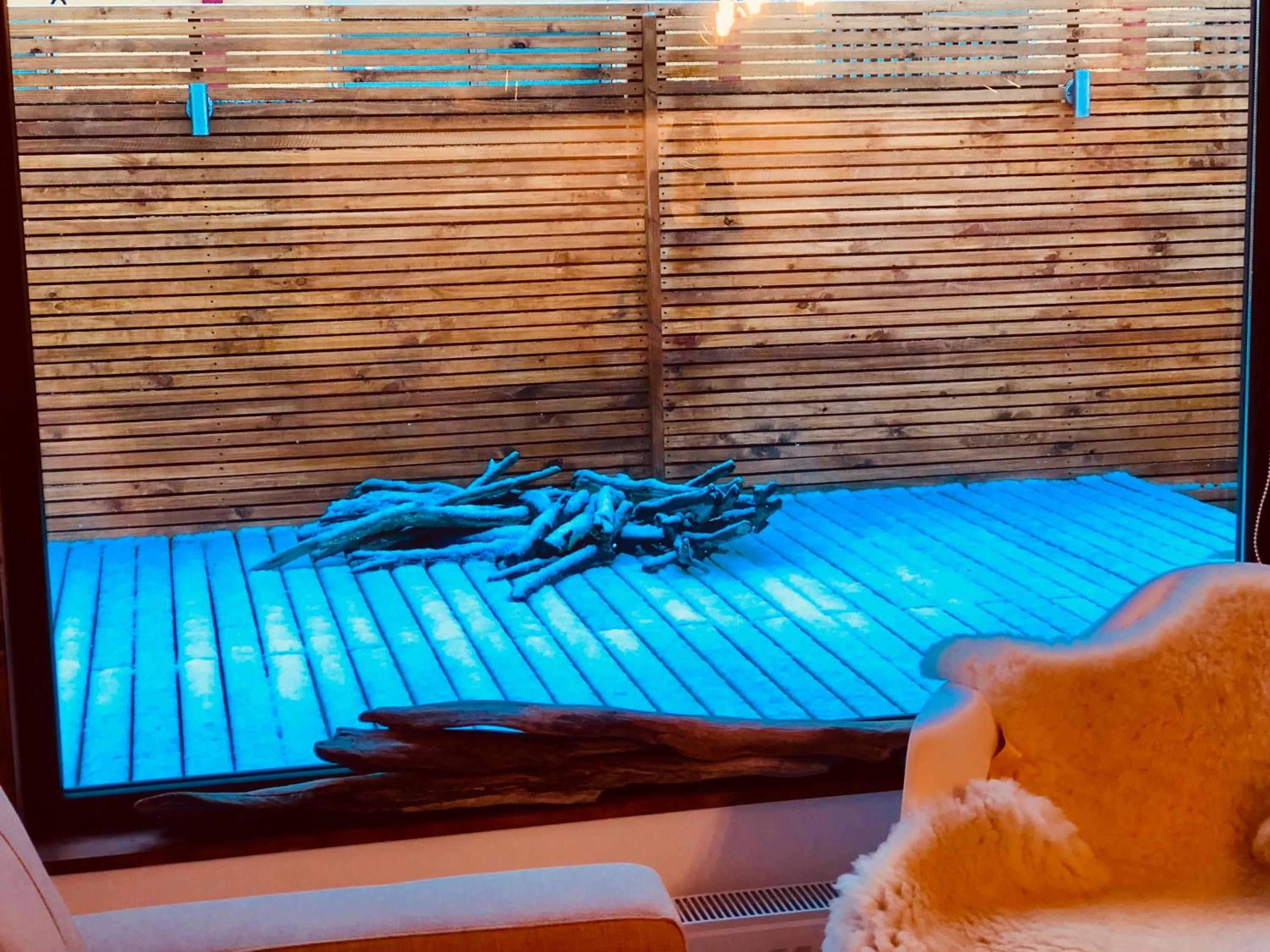 Living room, Bed in DT Loft