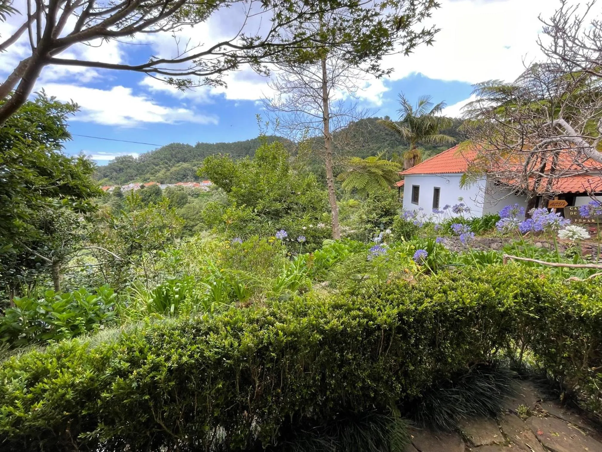 Garden in Casas de Campo do Pomar B&B - Self Check-in