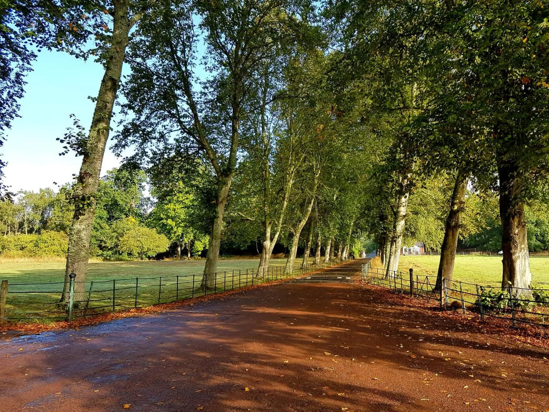 Natural landscape in Dryburgh Abbey Hotel