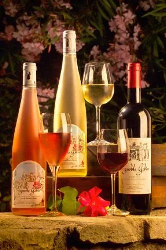 Restaurant/places to eat in Hôtel Château de Cavanac