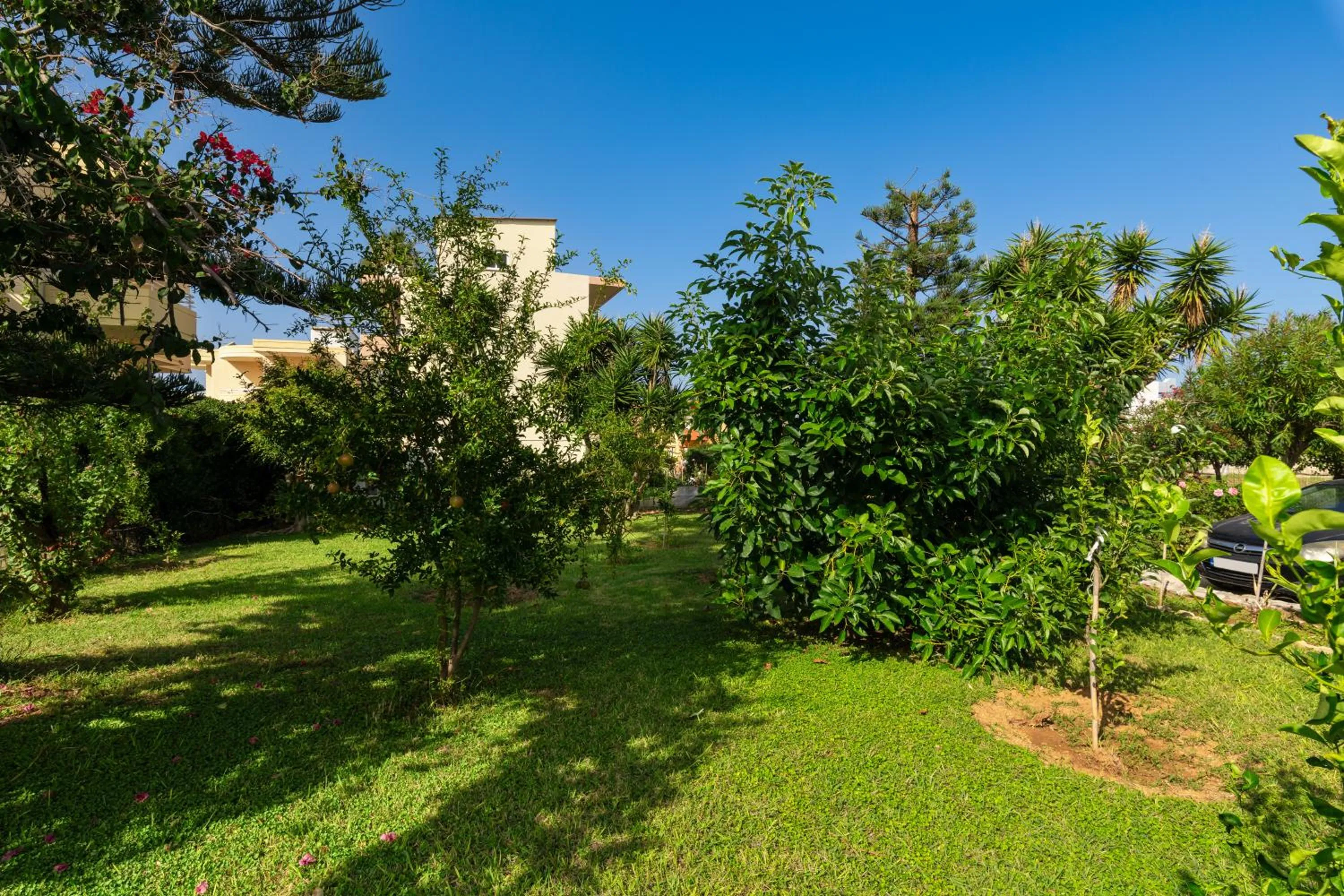 Garden in Dimitra & Evdokia Hotel