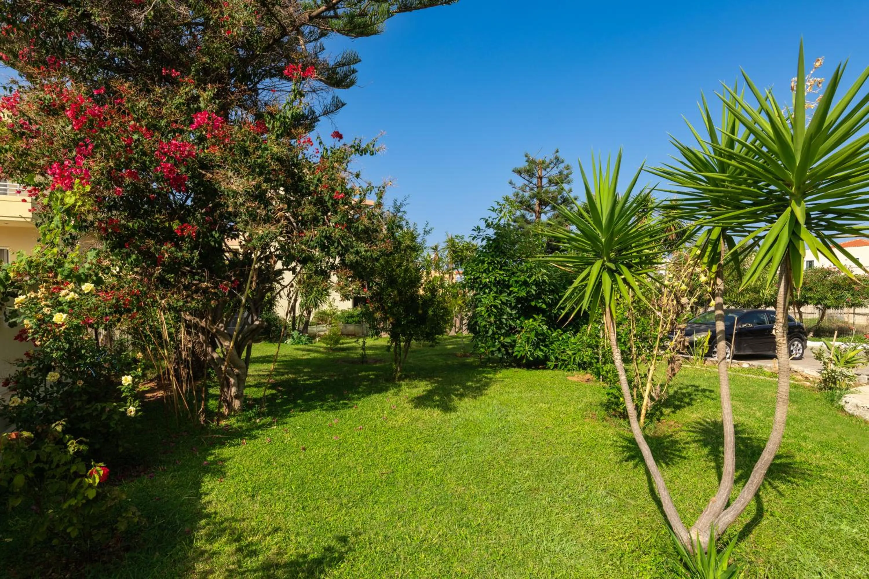 Garden view in Dimitra & Evdokia Hotel
