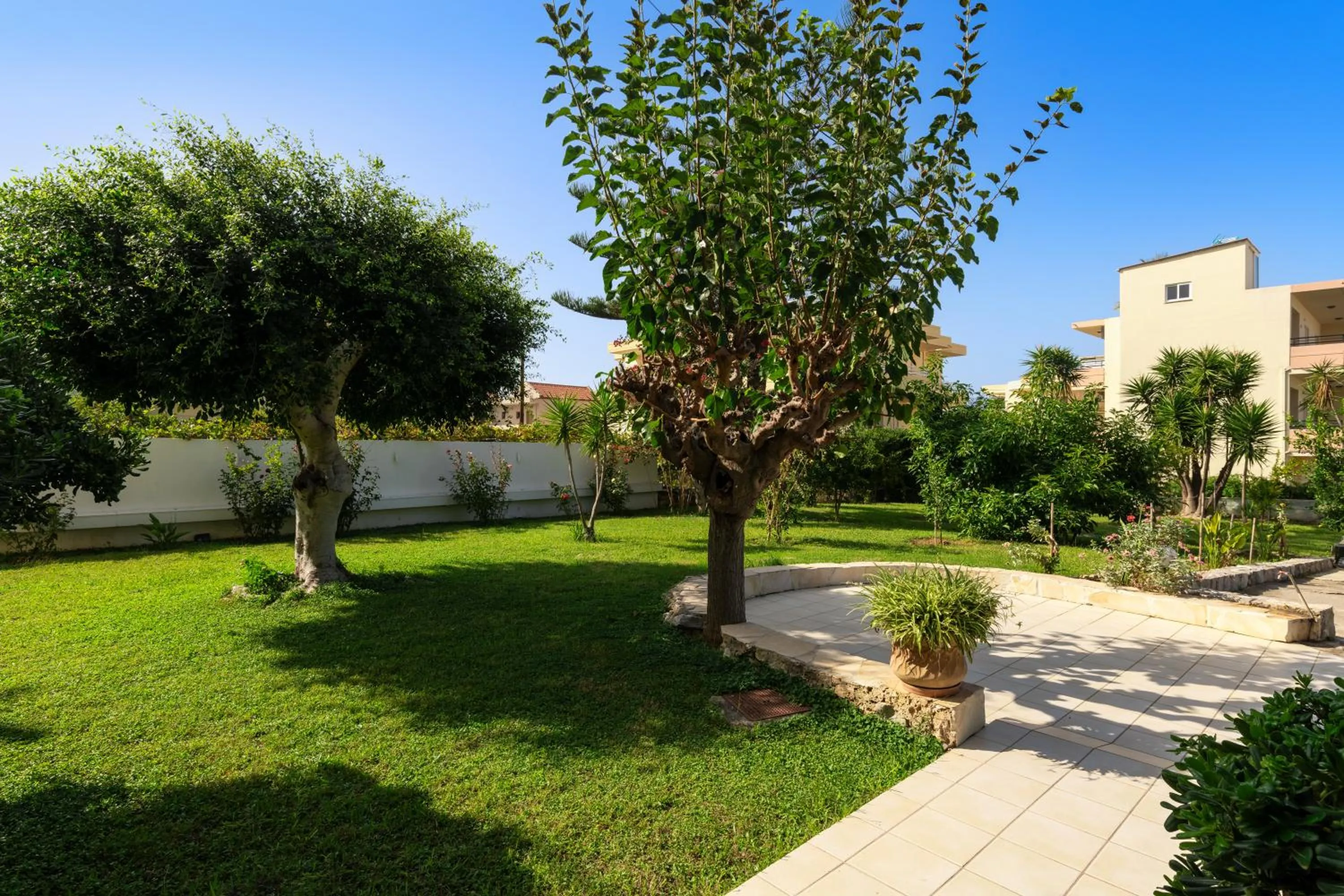 Garden in Dimitra & Evdokia Hotel