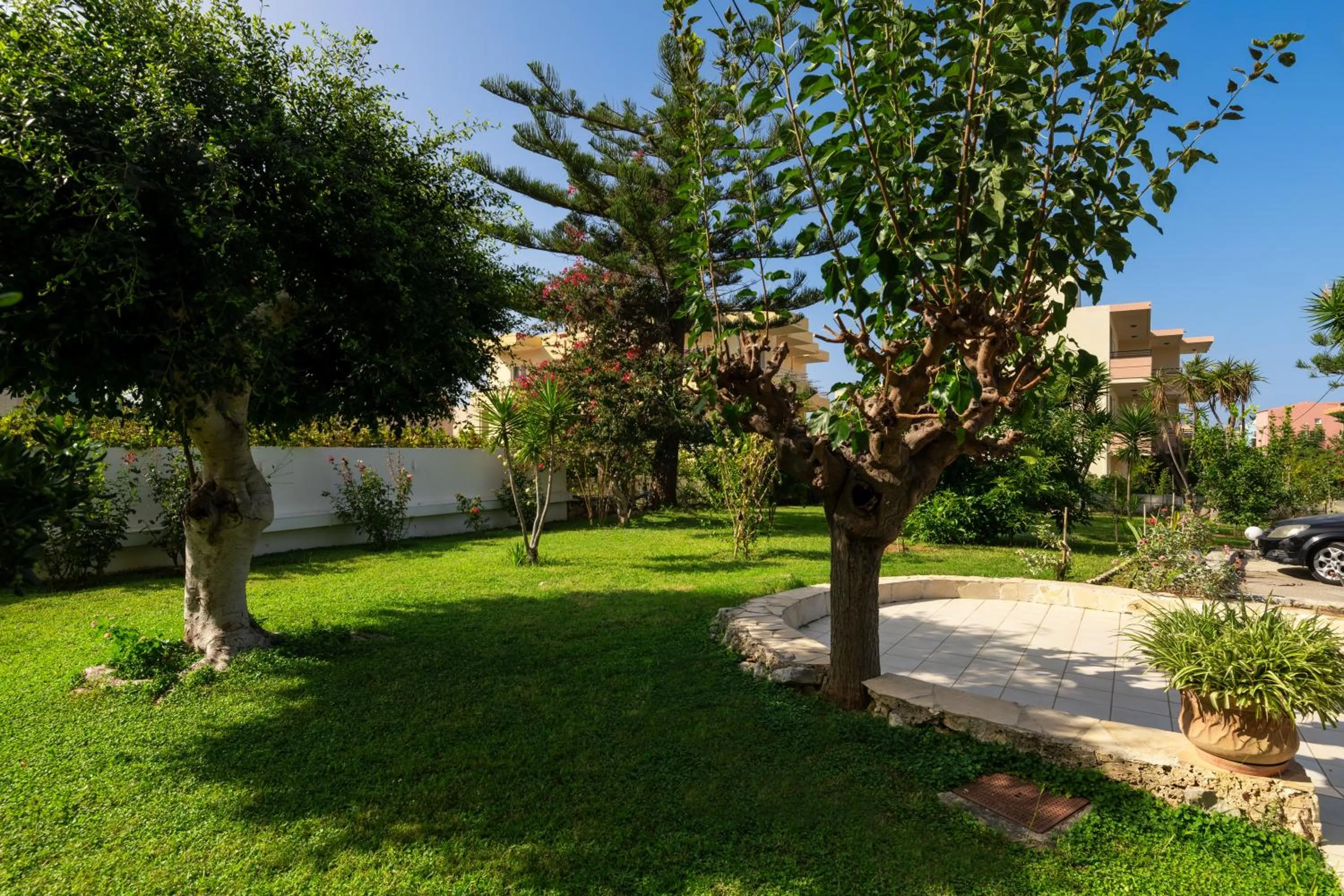 Garden view in Dimitra & Evdokia Hotel