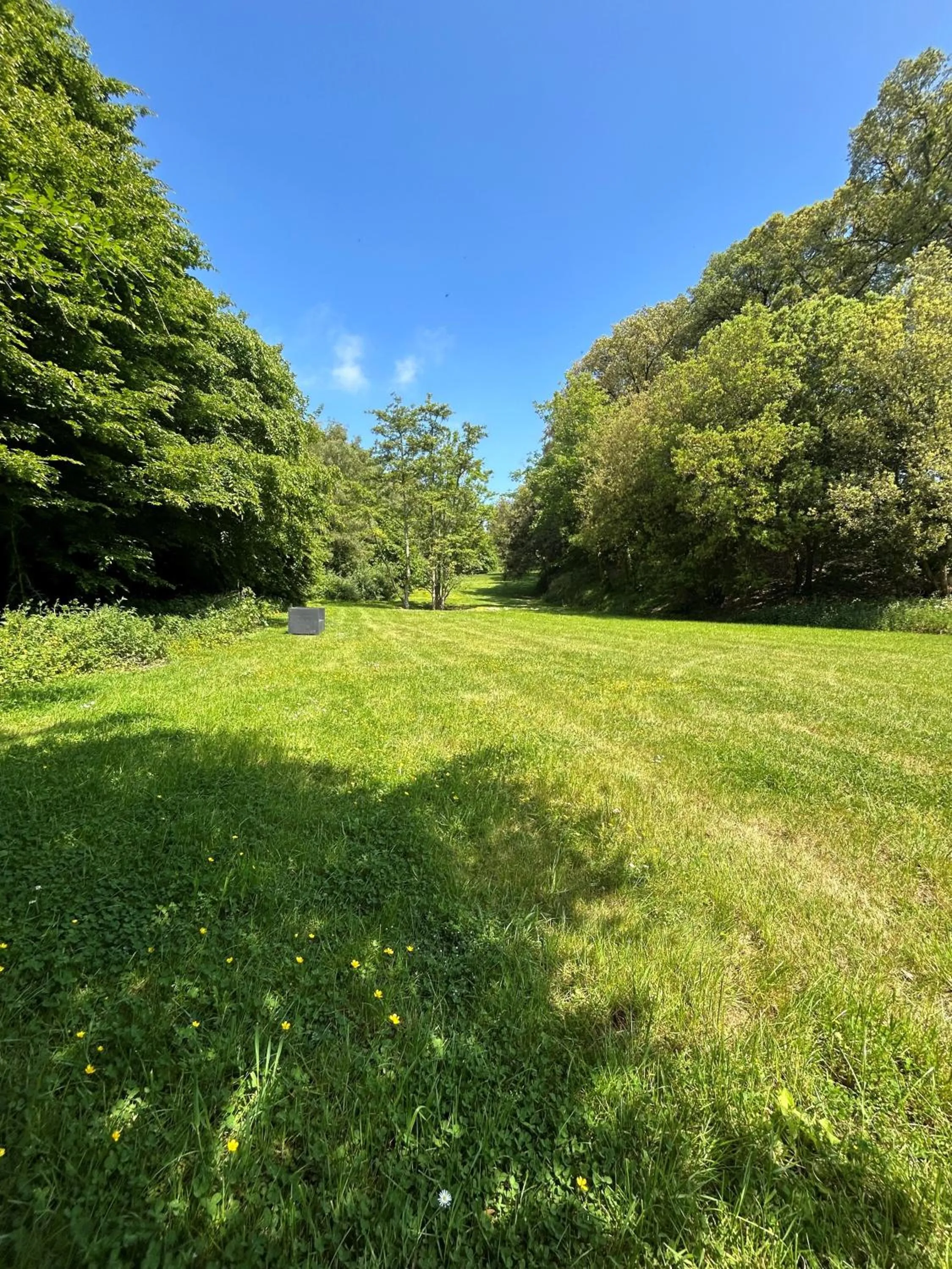 Garden in Westhill Country Hotel