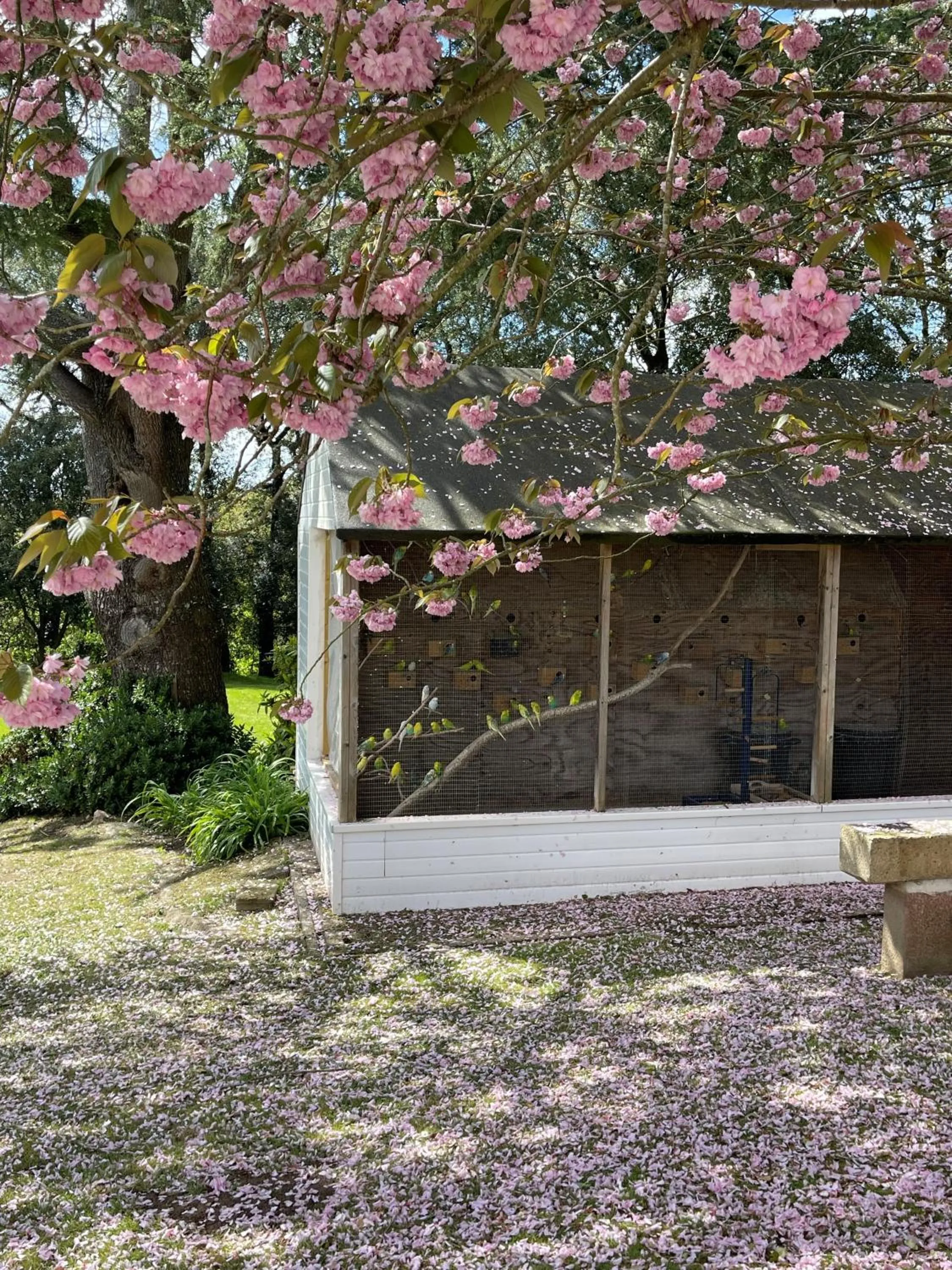 Garden in Westhill Country Hotel