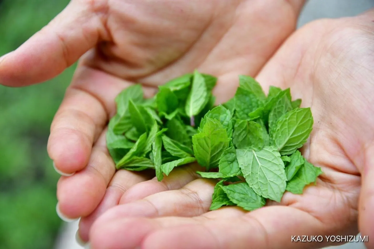 Property building in Amrita Villa Sidemen