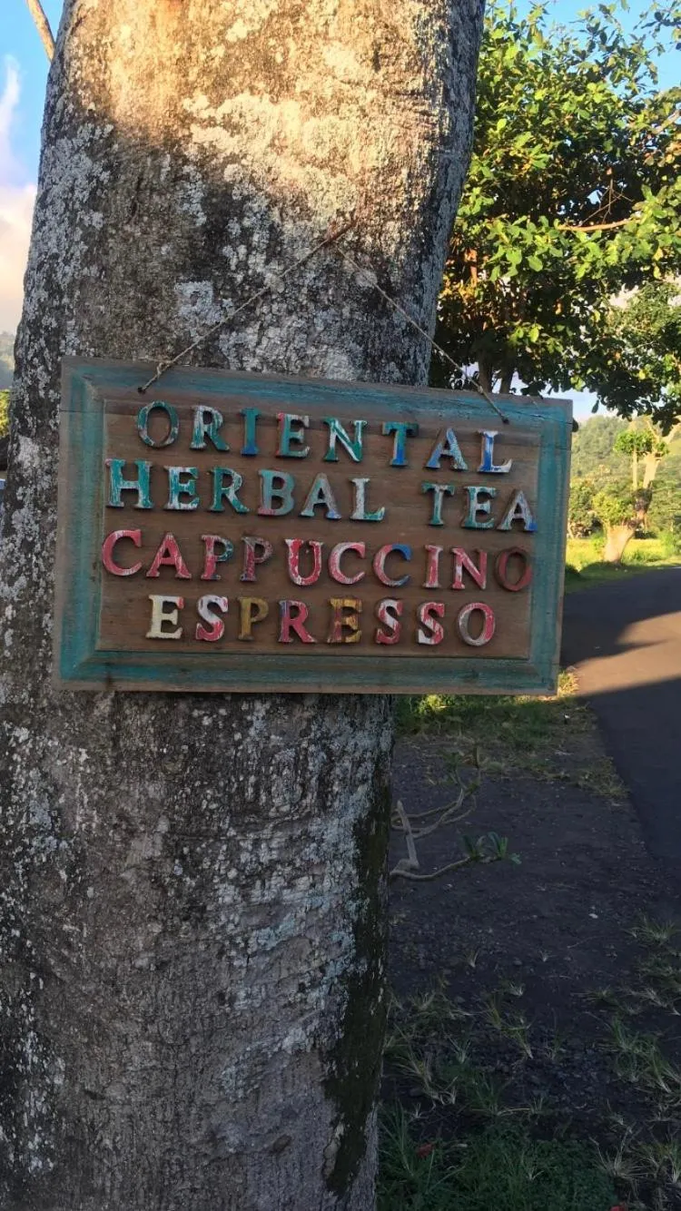 Amrita Villa Sidemen